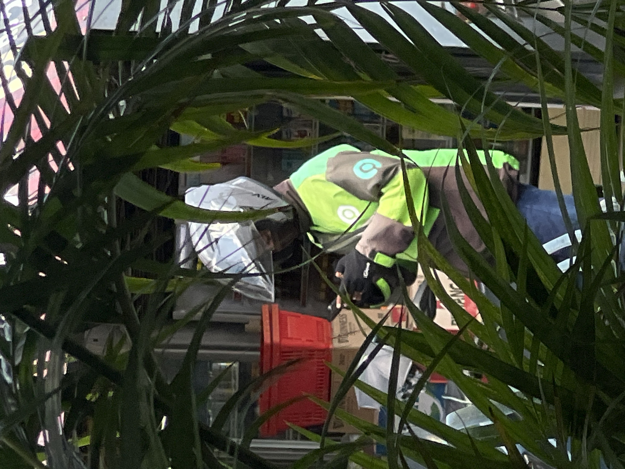 In North Kuta, Indonesia, a delivery person wearing a lime green jacket with a circular logo and a silver helmet is seen through a dense cluster of green palm-like fronds. The individual appears to be handling packages or goods, which are partially visible amongst red plastic crates and cardboard boxes. A building facade or storefront serves as the backdrop, partly obscured by the foliage. The lighting suggests daytime.