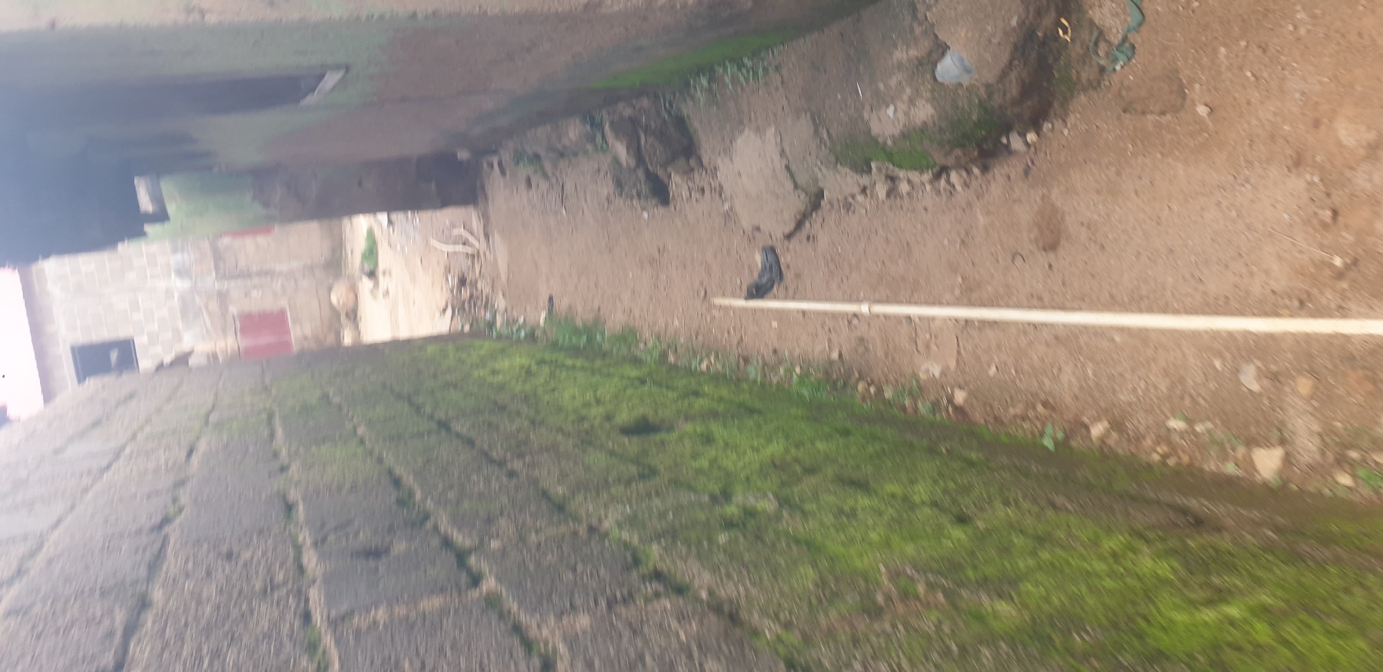 This image depicts a street scene in Barakin Lerawi, Nigeria. The foreground is dominated by a textured surface, possibly a paved walkway or road, covered in patches of green moss, indicating a damp or shaded environment. The perspective suggests the viewer is looking down from an elevated position, perhaps a balcony or a higher level of a building.
In the mid-ground, a sandy or dirt path is visible, cluttered with debris and some sparse vegetation. A black object, resembling a shoe or boot, lies on this path, next to a white pole or pipe that runs horizontally across the scene. Further back, structures are visible, including a brick building with red doors and what appears to be an opening. The overall impression is one of an outdoor, possibly semi-urban or rural setting, with evidence of wear and tear.
The lighting suggests it is daytime, but the specific time is not discernible. There are no clear indications of specific weather conditions, though the moss implies some moisture. No people are actively engaged in activity within the frame, and no text is visible. The scene is devoid of any strong emotional cues, presenting a factual, albeit somewhat unkempt, snapshot of the location.