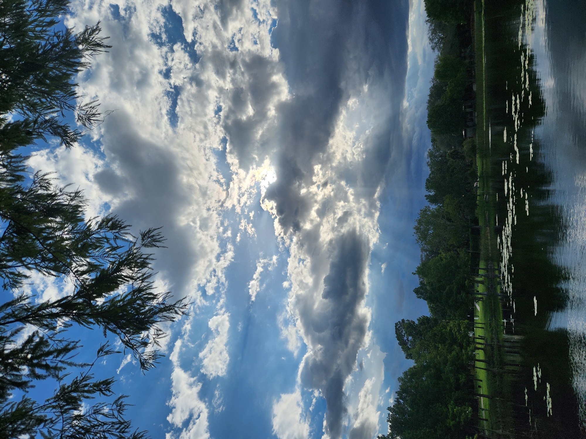 The image captures a serene lake with lily pads floating on its surface, reflecting the surrounding trees and sky. The sky is a dramatic mix of bright blue with scattered white and dark gray clouds, some of which are illuminated by the sun, creating rays of light that pierce through. Overhanging branches of a tree frame the top of the image, adding a natural element. The background features a line of dense green trees, some appearing to be cypress trees given their slender form and the presence of a body of water. The overall scene suggests a park or natural area within the city of Maitland, Florida, United States of America, likely a public space with a lake and recreational trees. There are no people or animals visible in the frame.