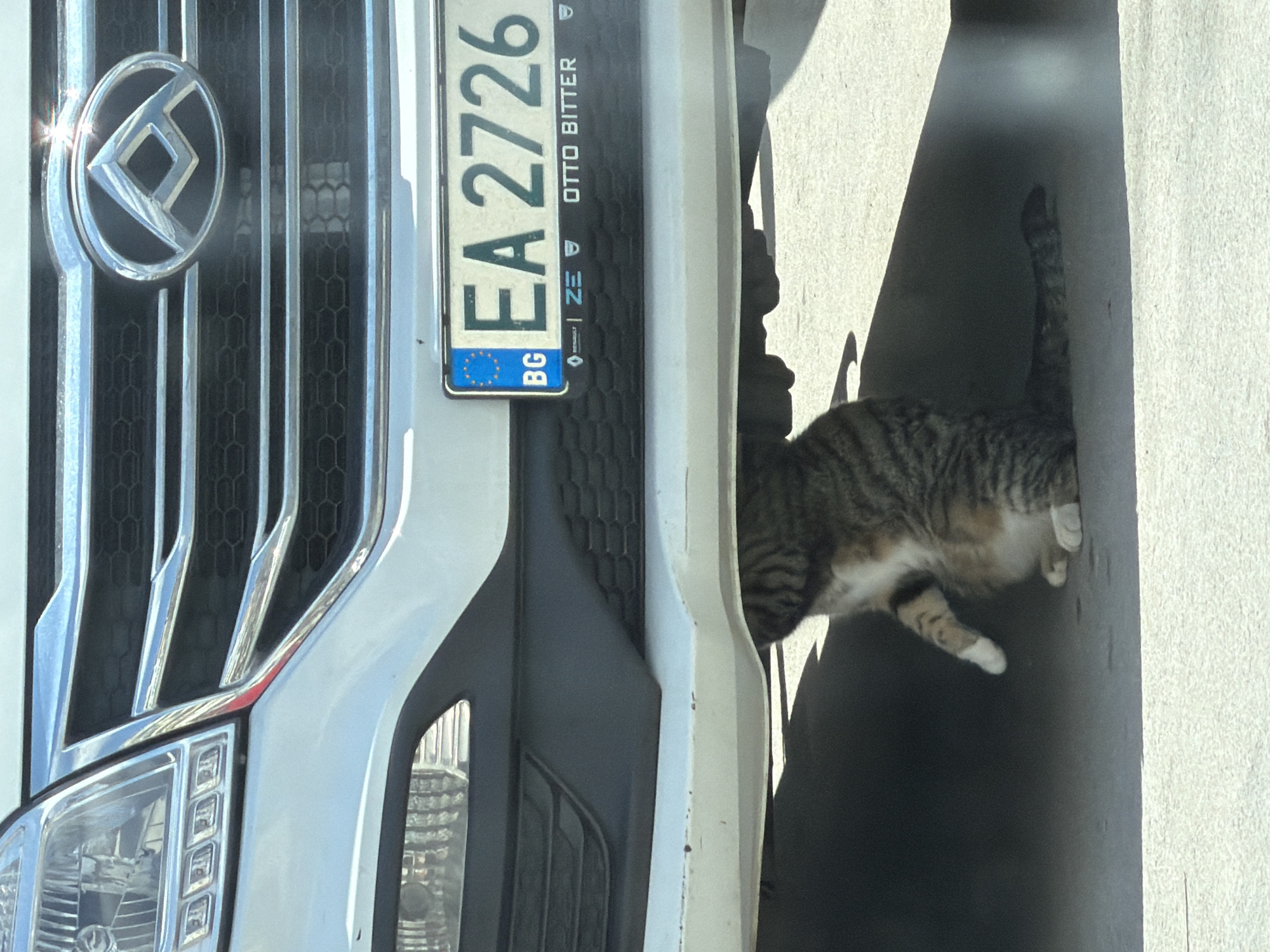 A partial view of a white vehicle with a Bulgarian license plate "EA 2726" is presented. The license plate includes the letters "BG" and the words "OTTO BITTER". The vehicle's logo is visible on the front grille. A tabby cat is partially visible, seemingly lying in the shadow cast by the vehicle. The location is Varna, Bulgaria, based on the license plate information.