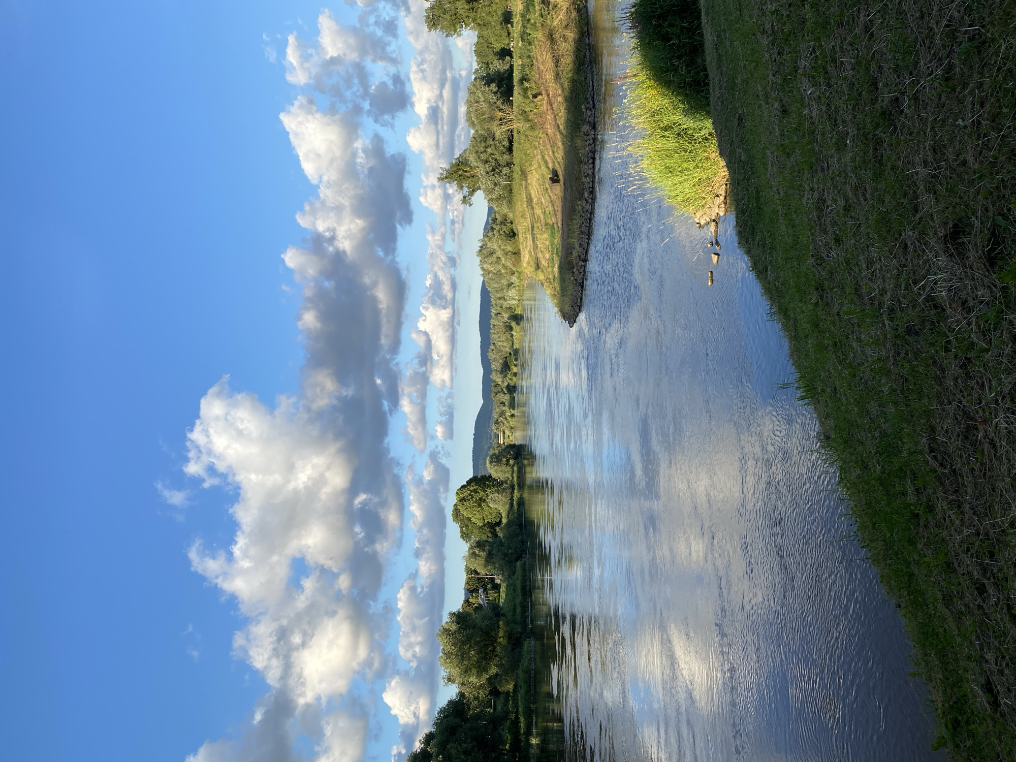 This is a photograph of the Weser river in Rinteln, Germany, on a clear day with scattered cumulus clouds. The river dominates the foreground and middle ground, reflecting the blue sky and white clouds. Lush green trees and vegetation line the riverbanks, creating a naturalistic landscape. In the distance, rolling hills are visible under the expansive sky. The scene depicts a peaceful and serene natural environment.