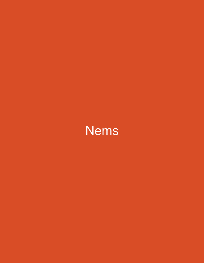 The image presents a solid, uniform orange background. Centered on this monochromatic field is the word "Nems," rendered in white, sans-serif uppercase letters. No other subjects, objects, people, or environmental details are discernible. The scene does not contain any visual information to indicate a specific geographic location, including the city of Casablanca, Morocco.