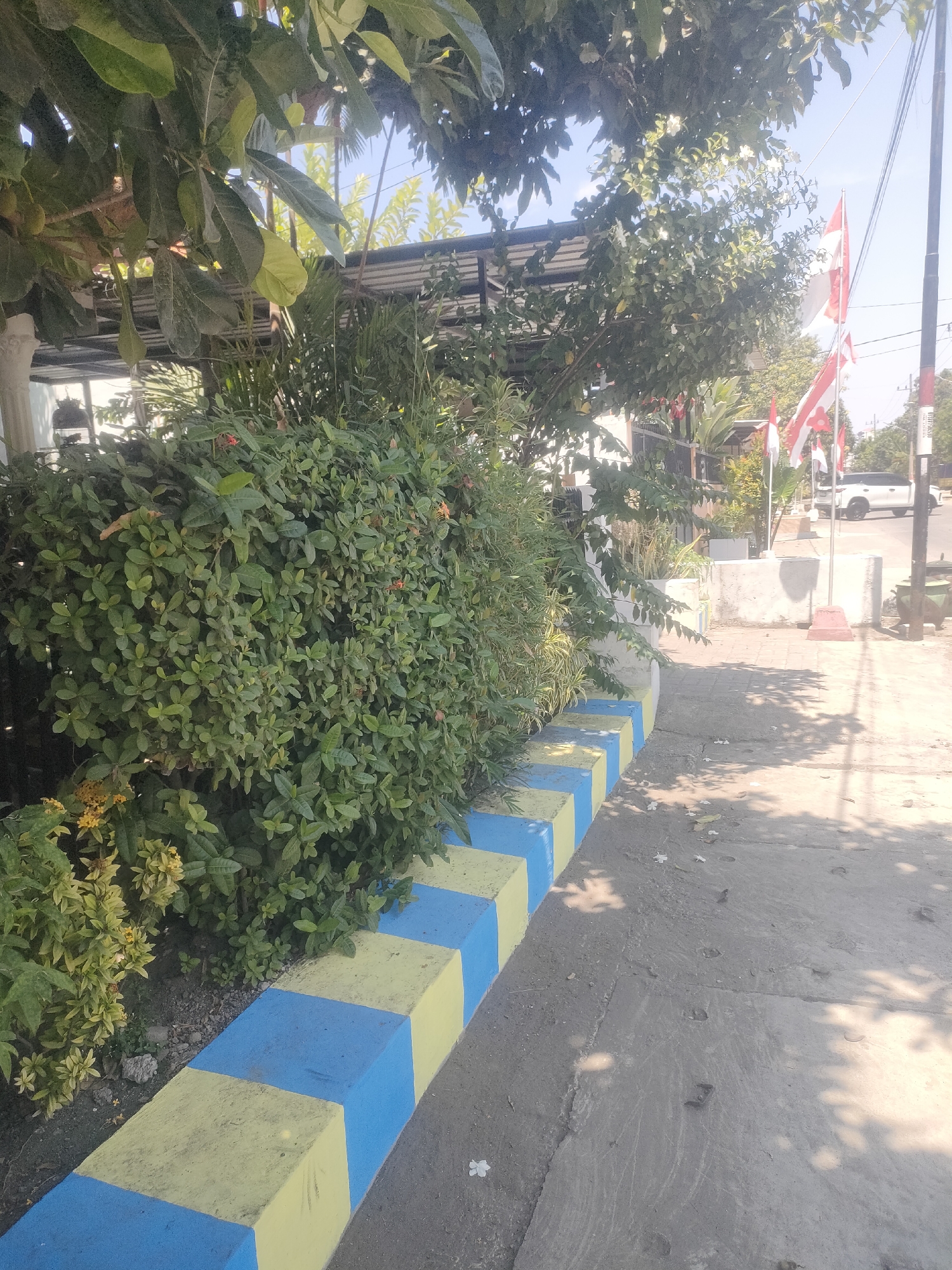 The image depicts a sunlit street scene in Surabaya, Indonesia. The foreground is dominated by a concrete sidewalk with scattered white flowers and shadows cast by overhead foliage. A low concrete barrier, painted in alternating blue and yellow blocks, runs along the edge of the sidewalk, separating it from a dense green hedge. Behind the hedge, a white building with a dark roof is partially visible. Further back, several Indonesian flags, red and white, flutter on poles, and a white SUV is parked on the street. Trees with green leaves and some fruit are also present in the scene. The overall impression is a bright, outdoor urban environment.