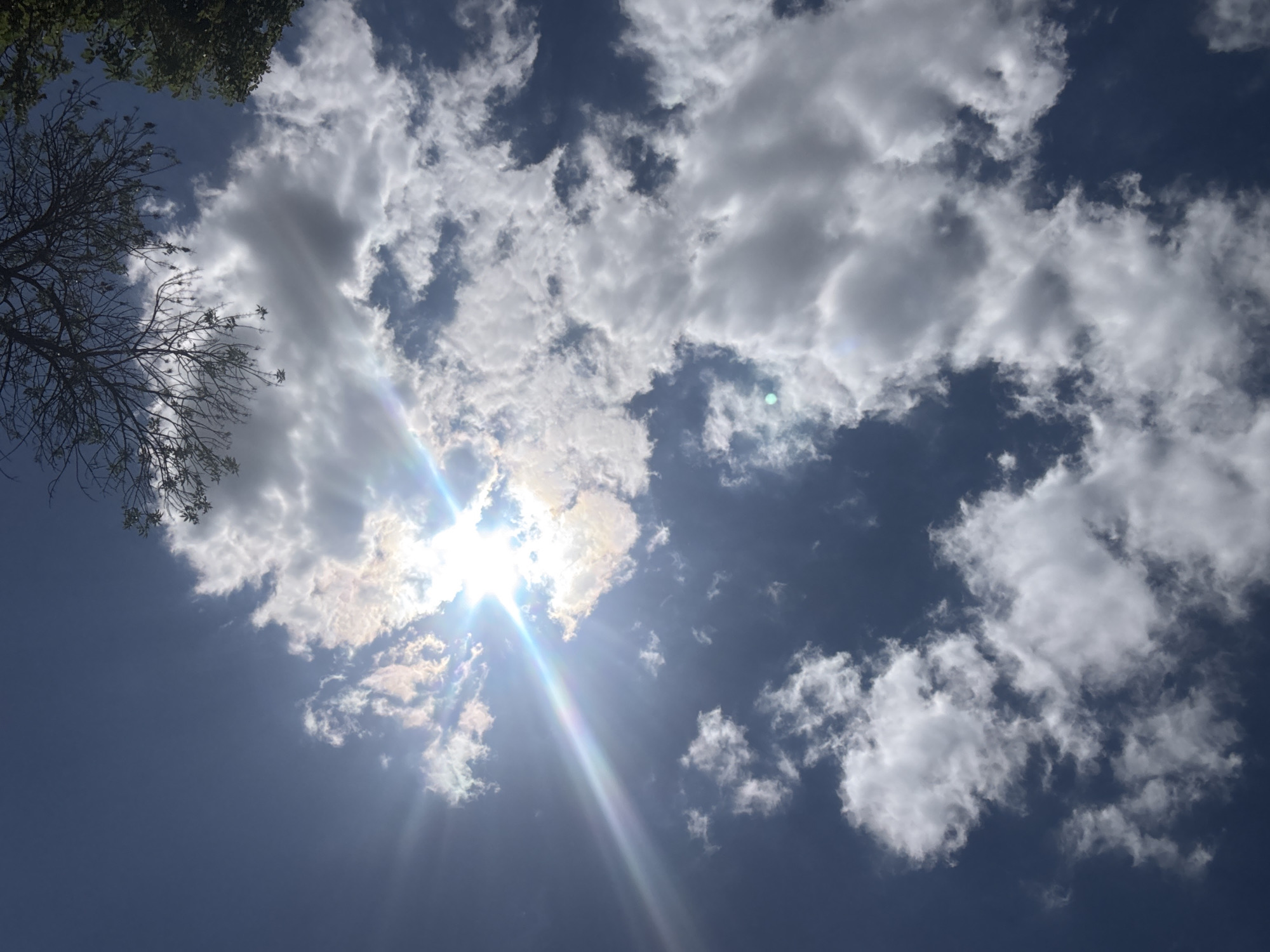 The image shows a view of the sky looking upwards. The sky is a deep blue with scattered white clouds. The sun is shining brightly from the left side of the frame, casting a lens flare that creates a rainbow effect. The sun is partially obscured by a large, fluffy cloud. In the upper left corner, the branches of a tree are visible, some with green leaves and others bare. The overall impression is a sunny day with a mix of sun and clouds, possibly during daytime. The lighting suggests it could be mid-morning or afternoon. There is no visible text in the image.