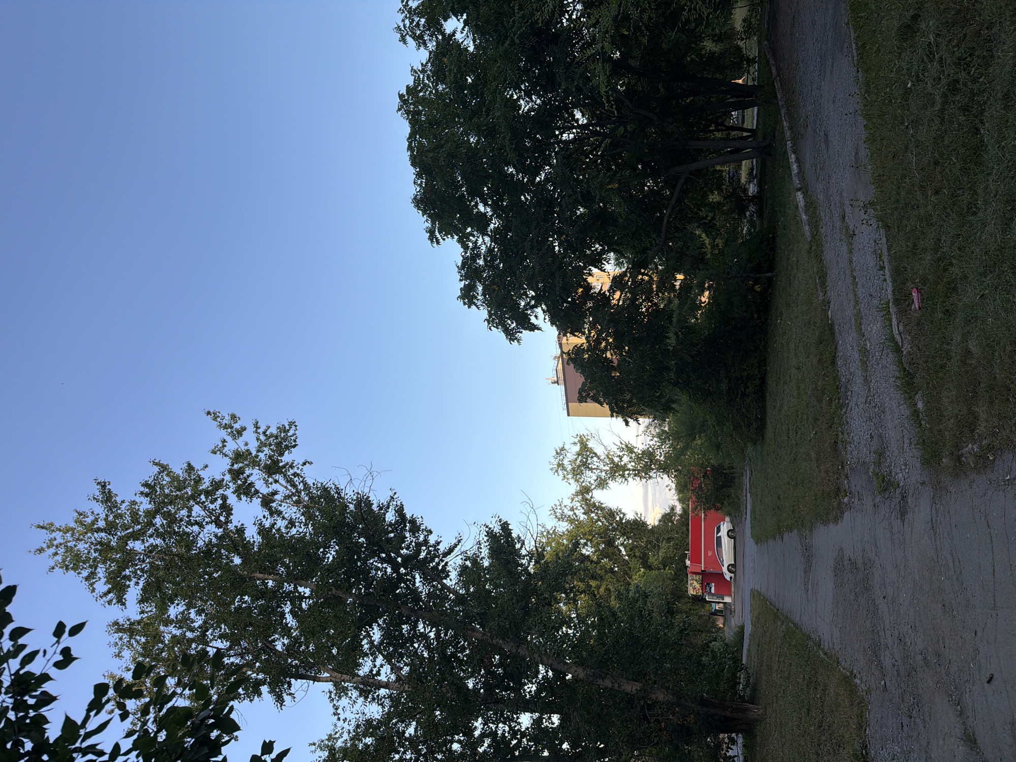 The image depicts an outdoor scene in a residential area, likely in Khabarovsk, Russia, given the context provided. The foreground features a cracked concrete pathway bordered by grass and gravel. In the mid-ground, a white car is parked in front of a vibrant red building, possibly a small shop or kiosk. Lush green trees dominate the scene, with dense foliage framing the red building and casting shadows. A taller tree stands prominently on the left side of the pathway. In the background, a multi-story building with a light-colored facade is visible between the trees. The sky is clear and a pale blue, indicating either early morning or late afternoon. No people are clearly visible in the image, although a faint, indistinct figure might be present in the far right background, near a paved area. The overall impression is one of a quiet urban landscape with natural elements.