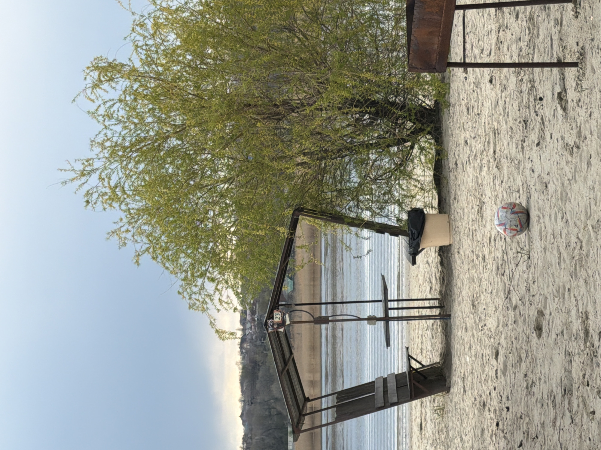 The image captures a riverside scene in Olginskaya, Russia. A light-colored sandy beach occupies the foreground, with a soccer ball resting on it. The beach transitions into the water's edge where a simple, metal-framed structure with a partially corrugated roof stands, acting as a shelter or picnic area. A small wooden table is visible inside the structure. The river extends into the midground. Beyond the river, there is a shoreline with visible vegetation and buildings, suggesting a residential area. A large tree with light green foliage dominates the upper portion of the image. To the right, there is a barbecue grill. The sky is partially cloudy and blue.