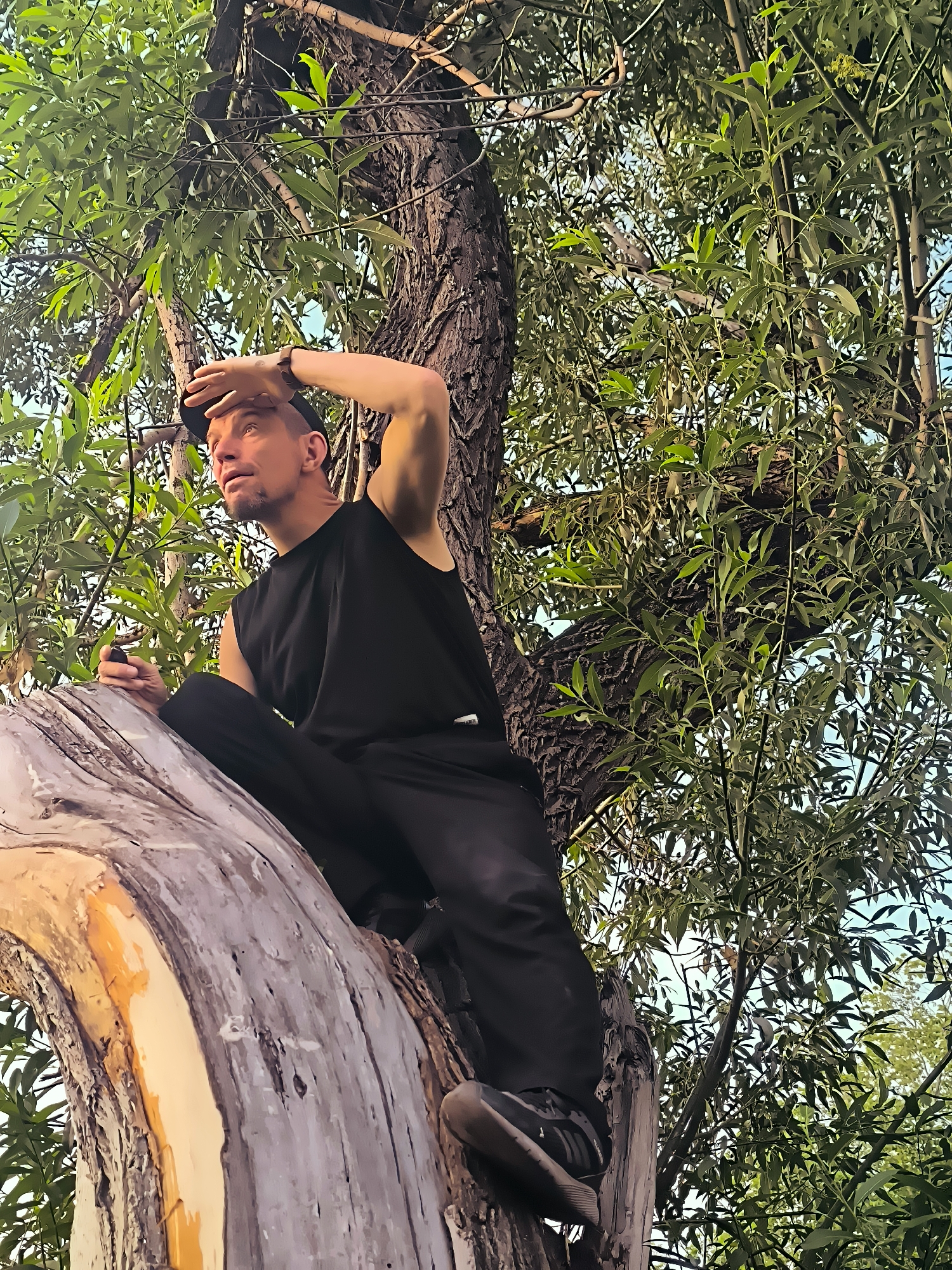 A man in a black tank top and black pants sits on a large, weathered tree branch, looking up and shielding his eyes from the sun with his hand. He is wearing a dark baseball cap. The tree has rough, textured bark, and some of its wood appears pale and smooth in sections. He holds a small, dark object in his left hand. The man is surrounded by lush green leaves and branches of the tree, with glimpses of a blue sky visible through the foliage. The scene appears to be outdoors, likely in a natural setting within the city administration of Qarağandı, Kazakhstan, given the foliage.
