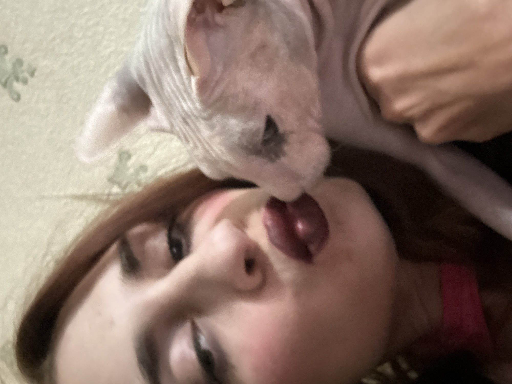 The image is a close-up, low-angle selfie of a young woman with auburn hair and a Sphynx cat. The woman is looking towards the camera, with her lips slightly parted and her tongue visible. The cat is nuzzling her face, with its head near her mouth. The background appears to be a textured wall with a faint pattern. The lighting suggests an indoor setting, possibly during the day. The overall tone of the image is intimate and playful, conveying a moment of affection between the woman and her pet. There is no visible text in the image. The location context provided is Togliatti, Russia, but there are no specific visual cues in the image to confirm this.