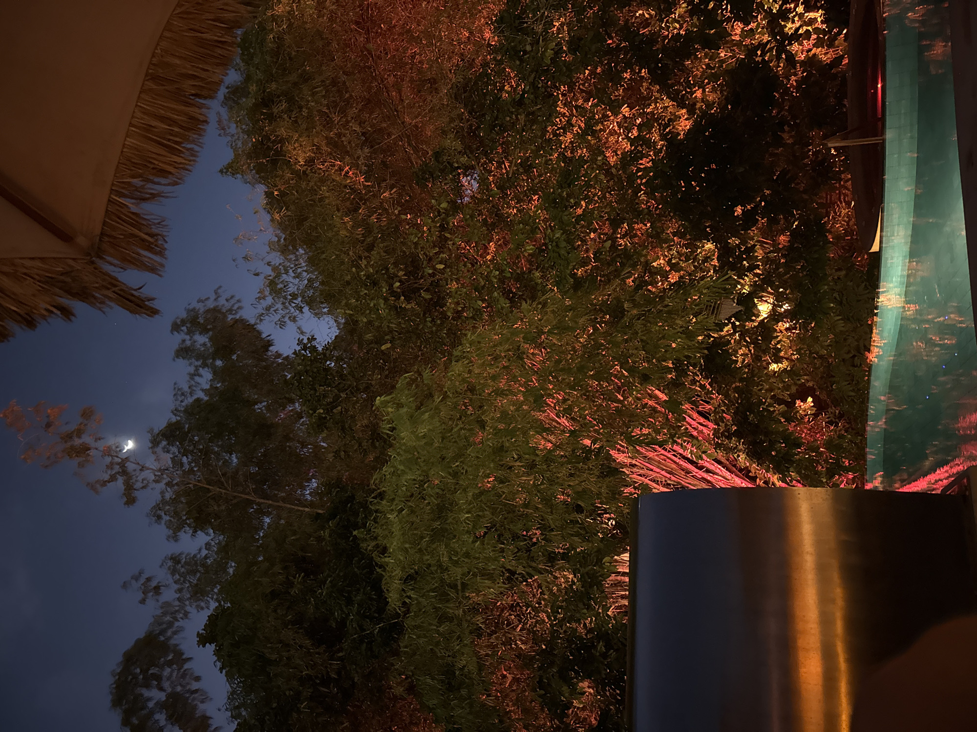 The image captures an outdoor scene at twilight, likely in Kediri, Indonesia. The foreground is dominated by a large, metallic cylindrical object, possibly a planter or a piece of outdoor furniture, reflecting warm, reddish-orange light. To the right, a portion of a turquoise surface is visible, potentially a swimming pool or a water feature, with reflections of the surrounding foliage and lights.
Above this, dense foliage is illuminated with dramatic lighting. Some parts of the trees are lit with a warm, orange-red glow, suggesting artificial lighting aimed at the trees. Other areas of the foliage appear darker, blending into the twilight sky.
In the upper left portion of the image, a part of a straw-thatched umbrella is visible, adding to the outdoor ambiance. The sky is a deep blue, indicative of evening. A crescent moon is faintly visible in the sky, nestled amongst the branches of a tree. The overall mood is serene and possibly romantic, created by the interplay of dim natural light, artificial colored lights, and the natural elements of trees and the night sky. No text is visible in the image.