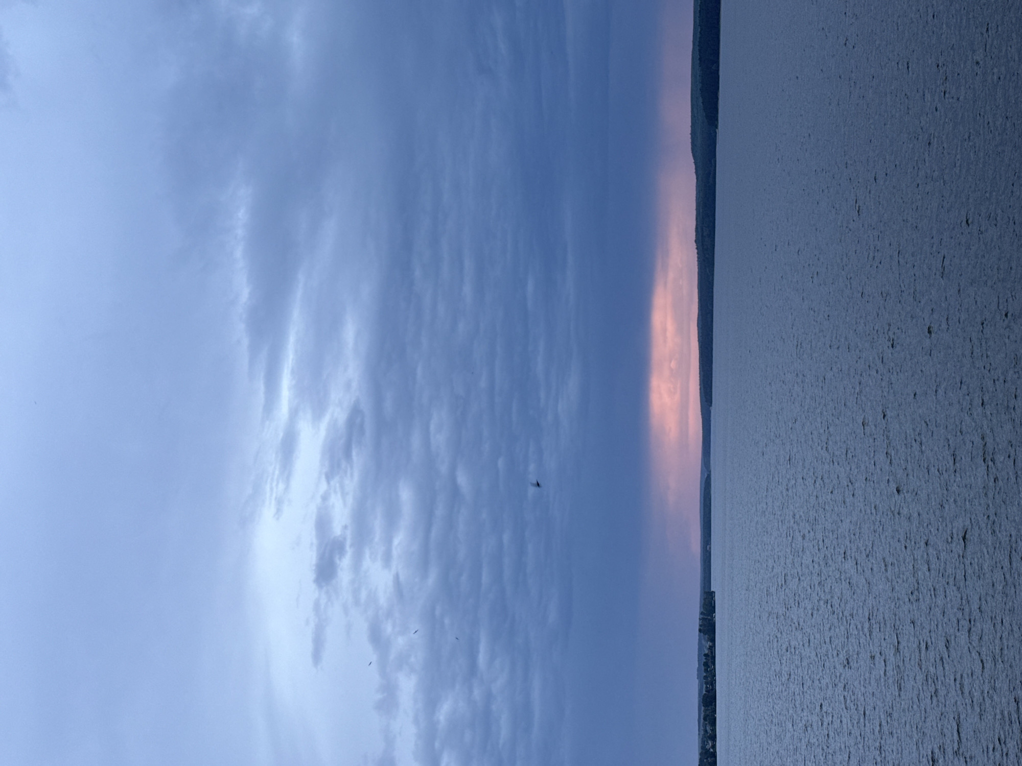 The image depicts a body of water, possibly a lake or reservoir, reflecting a sky with varying cloud formations. A sliver of land, possibly the shoreline, is visible along the upper edge. The sky transitions from a predominantly blue-gray expanse with layered clouds to an area with a faint reddish glow, suggesting either sunrise or sunset. Several dark shapes are scattered across the sky, possibly birds in flight. The overall composition suggests a tranquil natural setting, likely located outside of the city of Votkinsk, given the absence of urban elements. The landscape is relatively flat, with no indication of significant topography.