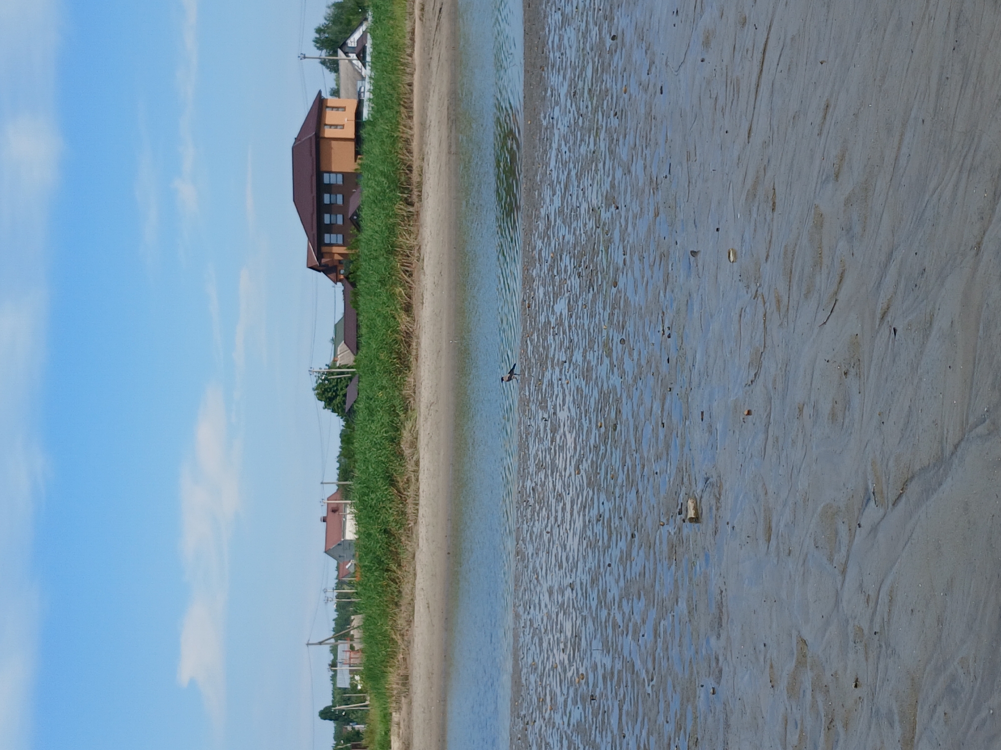 The image depicts a natural landscape with a body of water in the foreground and houses in the background. A single bird stands on the wet sand near the water's edge. The sky is blue with some scattered clouds. The scene appears to be a rural or suburban area with vegetation surrounding the houses. The water is calm, reflecting the sky. The sand is wet and textured, suggesting it may be a riverbank or a lake shore. In the distance, several houses are visible, with one prominent orange house with a brown roof. The area seems to be a residential zone adjacent to a natural water body.