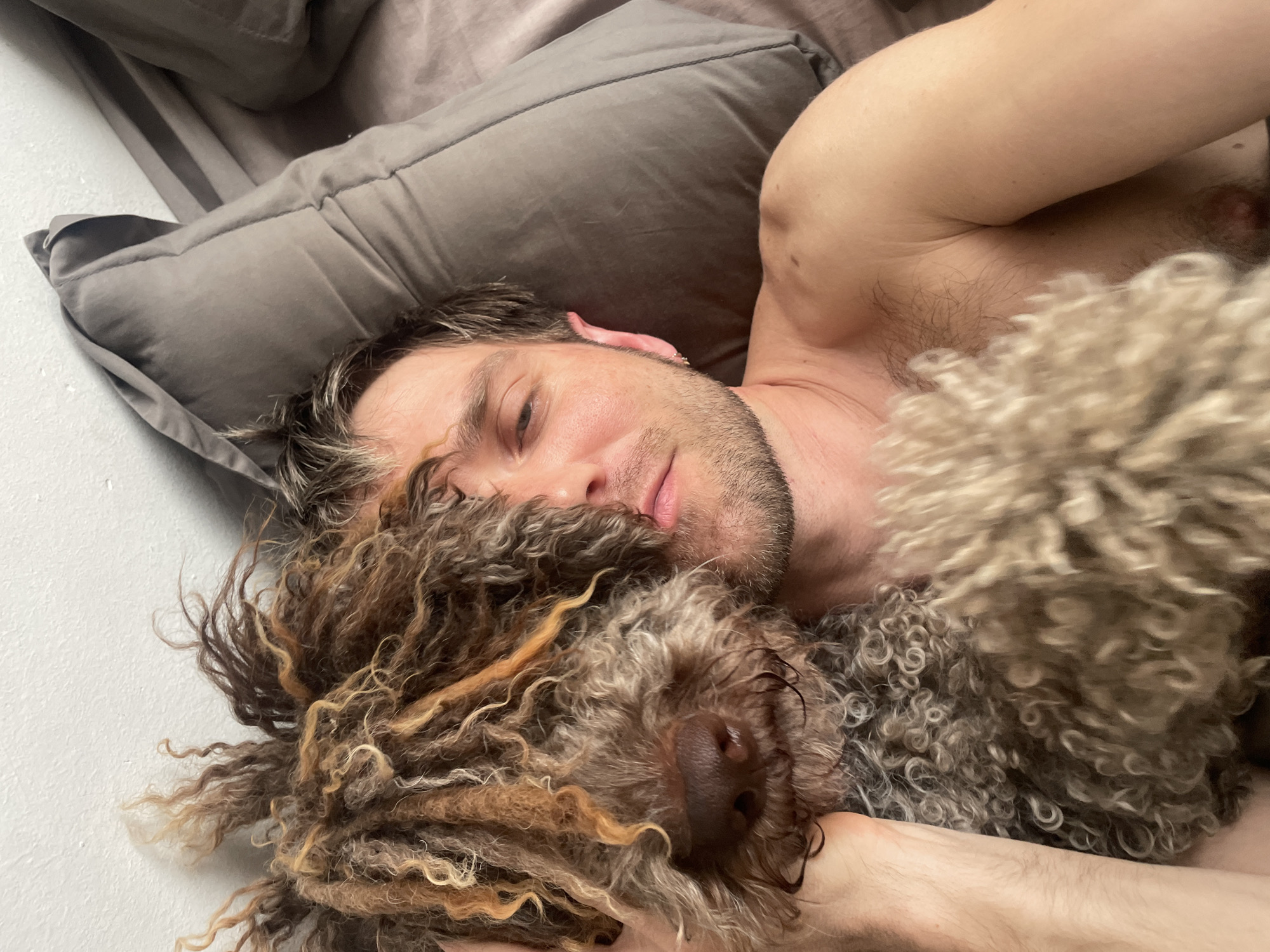 A man lies in bed with a brown and tan Lagotto Romagnolo dog nestled against him. The man has short brown hair, light skin, and a stubbly beard. He is shirtless, lying on a gray pillow and what appears to be a gray bedspread. The dog's curly fur is intermingled with the man's face and body. The background consists of a plain, light-colored wall. The scene is indoors, possibly a bedroom. There is no indication of the location being Budva, Montenegro.