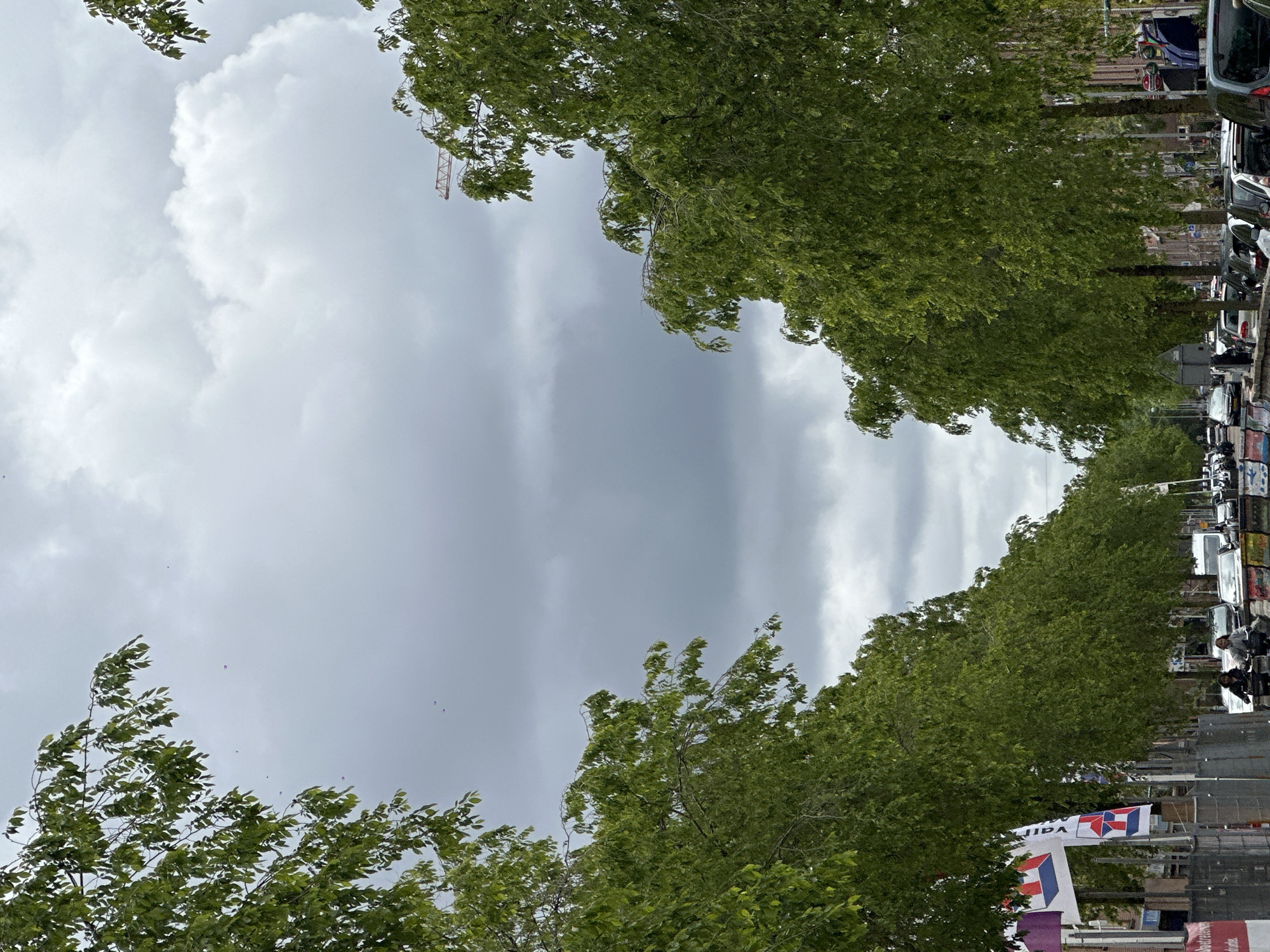 The image presents a view looking up towards a grey, cloudy sky framed by green treetops on either side. The perspective suggests the viewer is positioned on a street in Amsterdam, Netherlands. A row of parked cars and motorcycles lines the right side of the image, partially obscured by the trees. Political banners featuring the colors of the Dutch flag are visible on the right side, near the lower portion of the frame. A construction crane is barely visible between the leaves of the trees on the top right side of the image. The leaves on the lower left trees appear to be rustling in the wind.