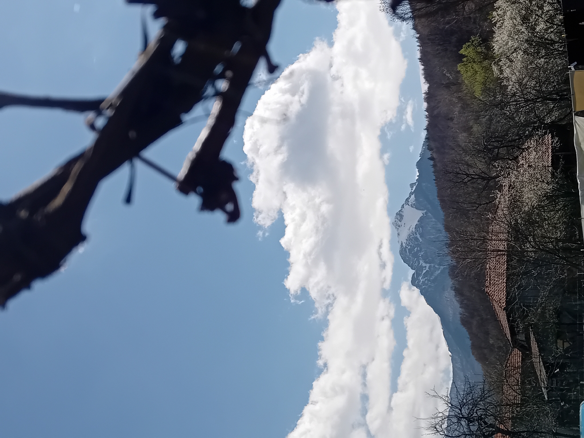 The image depicts a partially obscured view of a landscape under a blue sky with scattered clouds. In the foreground, out-of-focus tree branches obstruct part of the view. Behind the branches, a large, fluffy cloud formation rises vertically across the image. Beyond the cloud, a mountain range is visible, partially covered with snow at its peak. The lower slopes of the mountain appear forested. To the right of the mountain, there is a cluster of buildings with red-tiled roofs, partially obscured by bare trees and some trees with white blossoms. The location and city are unknown.