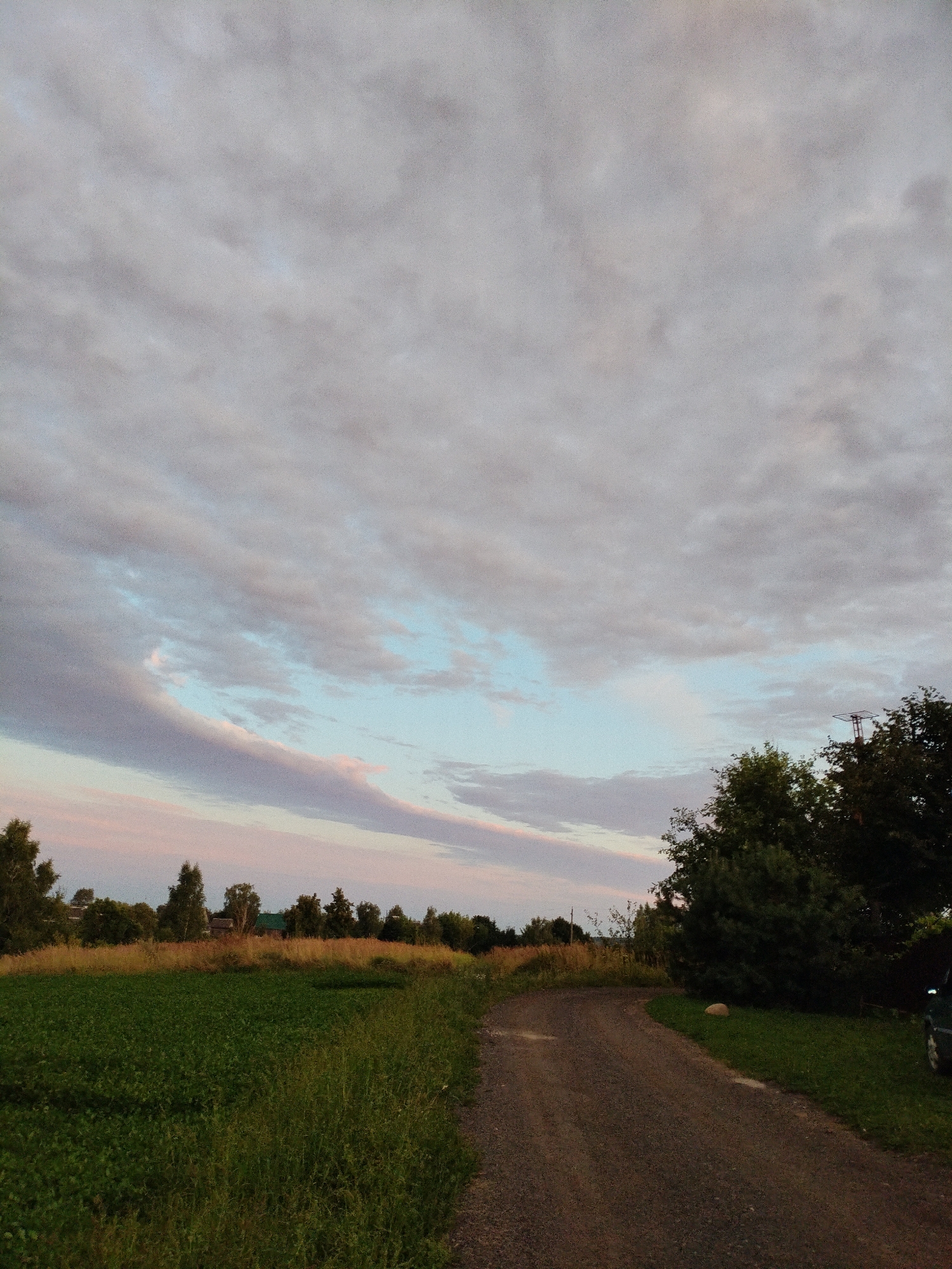 The image depicts an outdoor scene in Bialynichy, Belarus. A gravel road curves from the foreground right into the middle ground, bordered on the left by a green field of crops and tall grass, and on the right by a dense cluster of trees and a patch of grass. In the background, a line of trees with some houses and buildings interspersed can be seen. The sky above is filled with clouds, ranging in color from light gray to pale blue, with hints of pink and lavender suggesting either sunrise or sunset. No people are visible in the image. The overall impression is a rural landscape during twilight.
