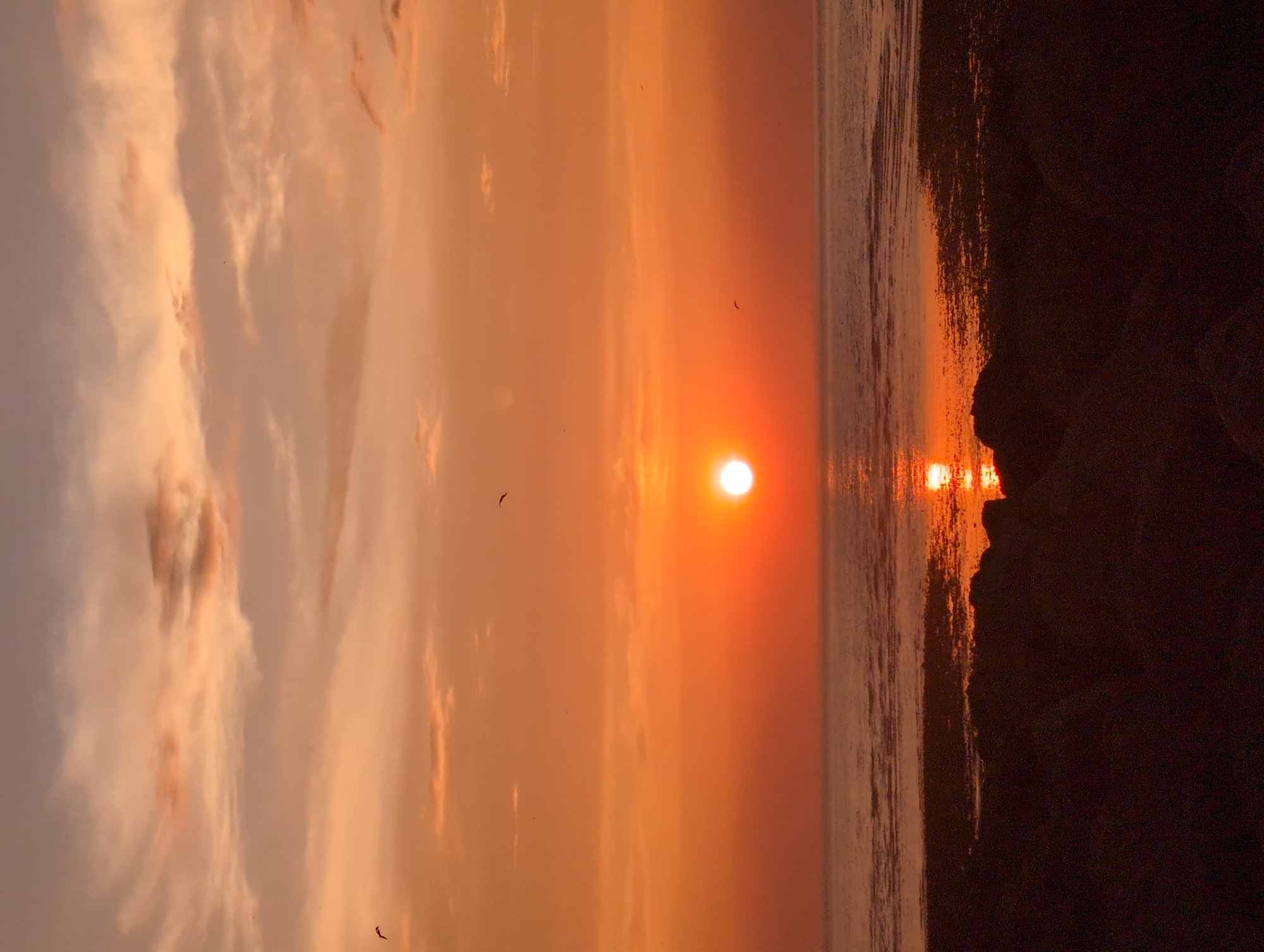 A sunset over the sea is pictured. The sun, a bright white orb, is low in the sky and casts a golden reflection on the water. The sky is a gradient of orange and pink, with scattered clouds. The sea is calm, with gentle waves lapping at the shore. In the foreground, dark rocks are visible along the beach. The location is Le Tréport, France, a coastal town known for its dramatic cliffs and sunsets. No people or specific actions are depicted.