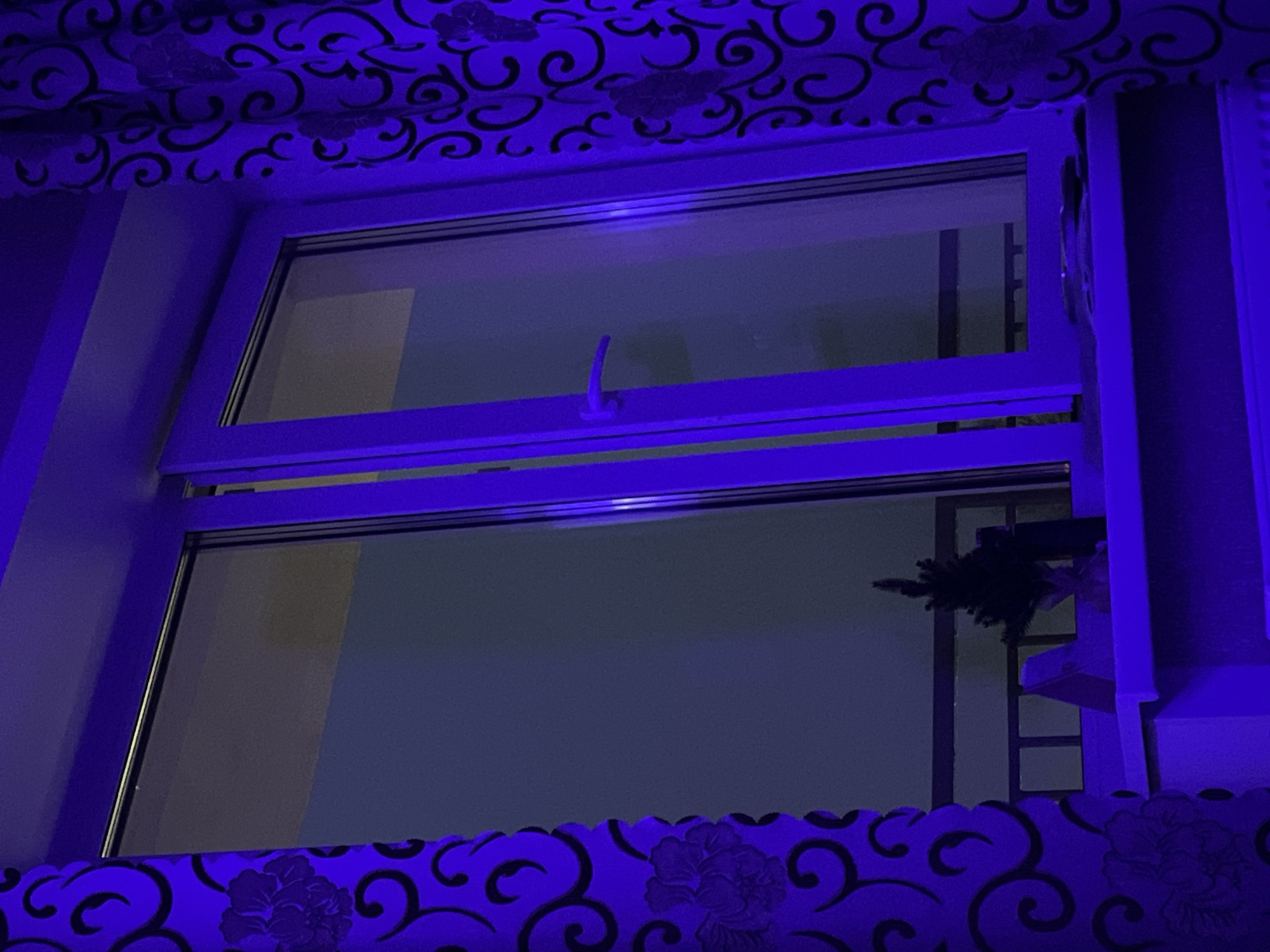 Captured under a blue lighting scheme, the image depicts a window interior with patterned curtains. The window is split into two sections with a latch visible on the upper section. Through the window, a glimpse of an exterior structure is visible. The location is identified as Chaikovsky, Russia.