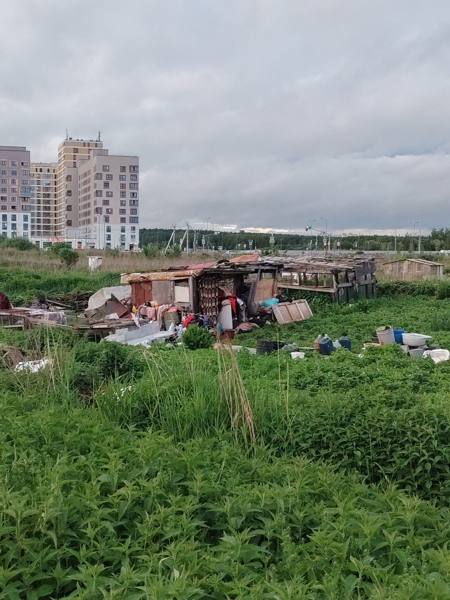 The image depicts an urban fringe scene in Yekaterinburg, Russia, characterized by a stark contrast between modern high-rise buildings and a makeshift settlement. In the background, several multi-story apartment buildings, constructed with light-colored facades and numerous windows, dominate the skyline. The sky is overcast with gray clouds.
In the foreground and midground, a collection of rudimentary structures, seemingly constructed from salvaged materials such as corrugated metal, wood, and tarpaulins, are situated amidst overgrown green vegetation and tall grass. These structures appear dilapidated and disorganized, with various objects scattered around them, including what looks like discarded building materials, clothing, plastic containers, and household items. One of the structures has a corrugated metal roof and wooden walls, with an open doorway revealing glimpses of interior clutter. Another, more open structure, appears to be a lean-to with a partial roof and exposed wooden supports.
The ground is covered with dense green vegetation, including what appears to be nettles and tall grasses, suggesting an undeveloped or neglected area. In the distance, beyond the settlement and vegetation, a highway or road can be seen with traffic lights and street lamps, indicating proximity to urban infrastructure. The overall impression is one of informal settlement and material accumulation in a transitional urban-natural environment. No people are visible in the image.