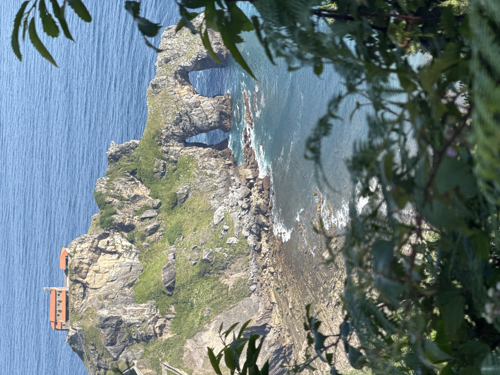 The image shows a view of San Juan de Gaztelugatxe, a hermitage located on a small islet connected to the mainland by a stone bridge. The hermitage, with its distinctive red-tiled roof, is perched atop a rocky cliff overlooking the sea. The rocky coastline features natural arches carved by the waves, and the surrounding water is a vibrant blue. In the foreground, the foliage of plants partially obscures the view, adding depth to the scene. The image is a static, eye-level shot captured on a sunny day. There are no people visible in the image.