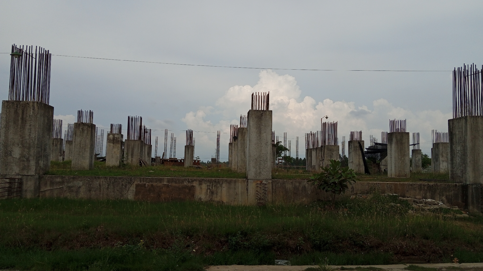 The image depicts an under-construction building site with numerous concrete pillars and exposed rebar, stretching across the frame. The scene is set outdoors under a cloudy sky, suggesting it might be late afternoon or early morning. The foreground is covered in lush green grass, with some areas showing overgrown vegetation. In the mid-ground, a low concrete wall runs horizontally, separating the grassy area from the elevated foundation of the building.
The main subjects are the architectural elements of the construction site. Many tall, cylindrical concrete pillars stand in rows, their tops adorned with bundles of vertical rebar, ready for the next stage of construction. Some of these pillars are connected by horizontal beams, also with exposed rebar. In the background, more pillars and construction scaffolding are visible, indicating a large-scale project. A few sparse trees and bushes are scattered throughout the site, adding a touch of nature to the otherwise industrial landscape. A single, small green leafy plant is visible to the right of the frame, contrasting with the concrete.
There are no people visible in the image. The overall mood is one of progress and development, but also a sense of unfinishedness. The cloudy sky and overcast lighting create a somewhat subdued atmosphere. There are no visible signs of text in the image. The location context provided is Keudeteupinpunti, Indonesia.