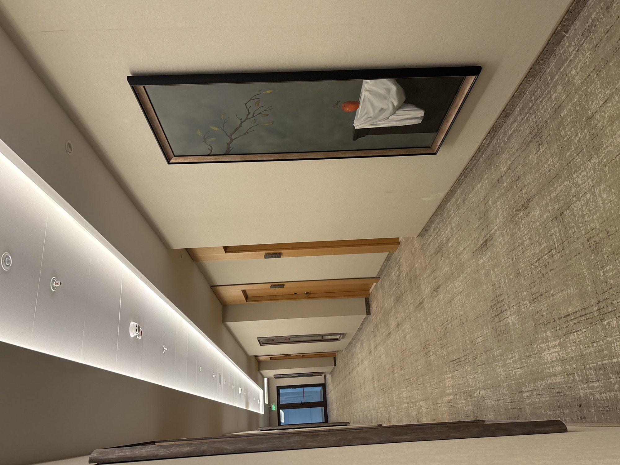 The image shows a long, well-lit hallway with a patterned carpet on the floor and beige walls. A long, recessed light fixture runs down the center of the ceiling, with several circular lights interspersed along its length. There are also multiple circular sprinkler heads and what appear to be smoke detectors visible on the ceiling. Several doors are visible along the right side of the hallway, made of light-colored wood. On the wall to the right, a framed painting is hung, depicting a still life with an orange apple on a draped white cloth beneath a barren branch with a few yellow leaves against a dark background. On the left side of the hallway, there are some dark-framed panels. Further down the hallway on the left, glass doors with a green exit sign are visible. The overall impression is that of a modern hotel or office building hallway. This image was taken in Razliv, Bulgaria.