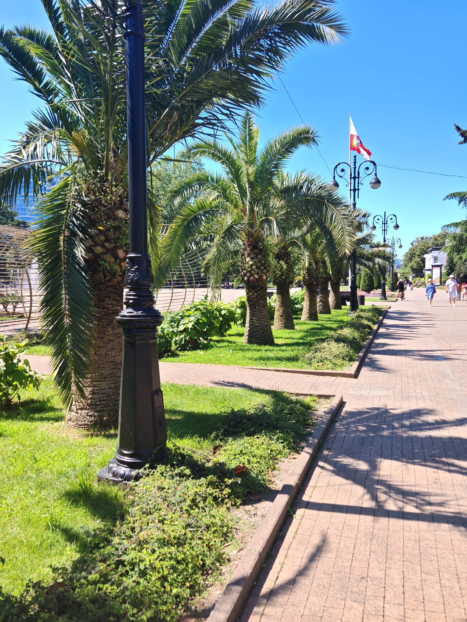 This image captures a bright, sunny outdoor scene, likely an urban park or promenade, potentially in Abkhazia given the flag visible. In the immediate foreground, a reddish-brown paved walkway with a slight curb on its left edge exhibits strong, elongated shadows, indicating a high sun position. To the left of the walkway is a strip of lush green grass and low-lying green shrubs. Dominating the left midground is a prominent black ornamental lamppost with intricate detailing on its base and shaft, situated amidst the grass. Behind this lamppost, a row of mature palm trees with fibrous trunks and large green fronds extends into the distance, lining the pathway.
Further down the path on the right, additional black ornamental lampposts are visible. Against a clear, vibrant blue sky, a white flag with red borders on the hoist and fly, featuring a red field containing a yellow sun emblem, is flying from one of these lampposts; this is the flag of Abkhazia.
In the background, several individuals are walking on the paved pathway. They appear to be casually dressed in light-colored clothing, suitable for warm weather. One person is seen on what appears to be a bicycle or scooter further down the path. To the far left, partially obscured by palm fronds, is a large, light-colored decorative structure, possibly a trellis or pergola, and a tall, modern building with a reflective facade is visible in the distance. The overall environment is characterized by abundant green vegetation, including various trees and shrubs, under a brilliant clear sky.