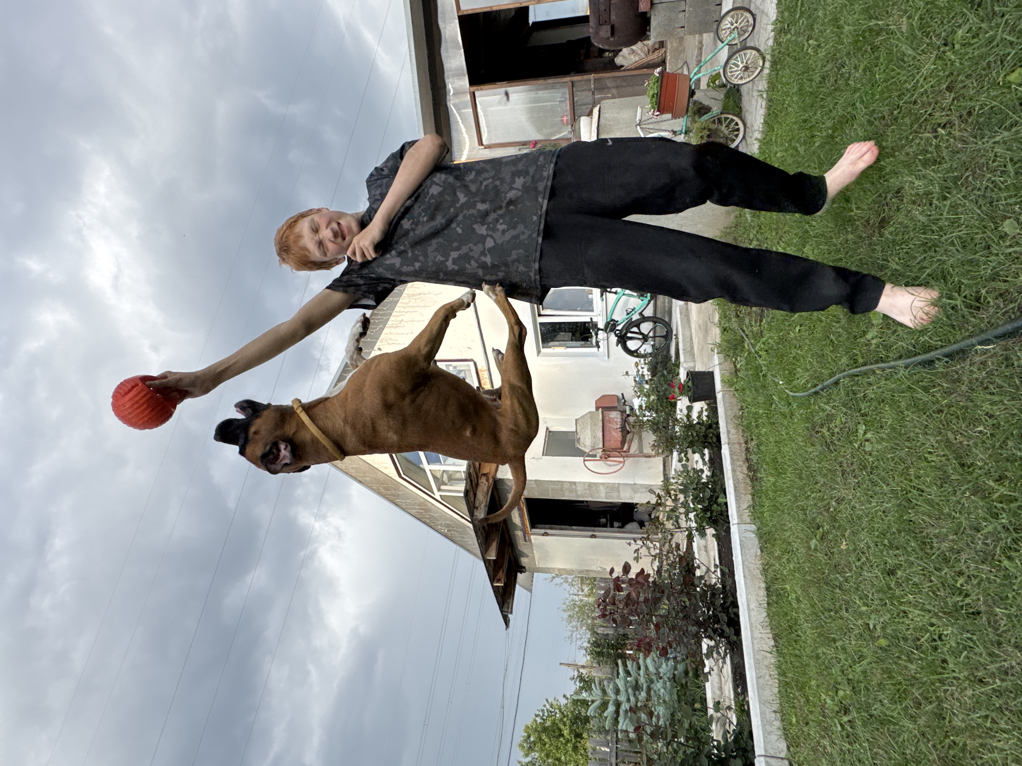 In Chaikovsky, Russia, a young boy with red hair and a grimace, wearing a dark patterned t-shirt and black pants, is captured mid-air in a backyard. He is playing fetch with a brown dog, which is also airborne, reaching for a bright red ball held aloft by the boy. Behind them, a modest, light-colored house with a gabled roof stands under a cloudy sky. The yard is covered in green grass, with a variety of plants and bushes, a wooden fence, and a bicycle visible in the background. The scene suggests a moment of energetic outdoor play.