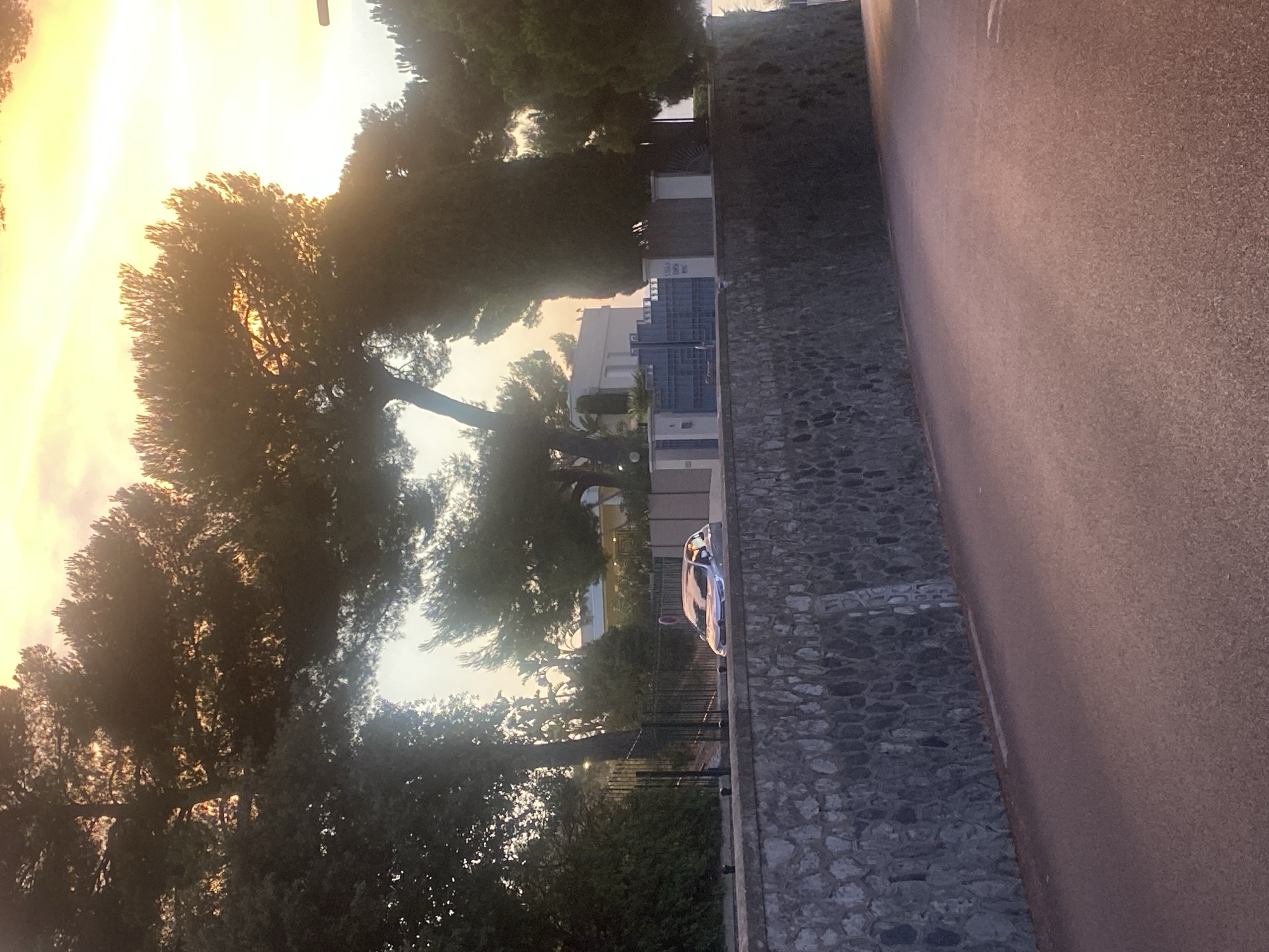 The image shows a street scene in Antibes, France, with a focus on a silver car parked on the side of a road. The car is positioned behind a stone wall and in front of a property with a blue gate and a modern white house. Tall trees, some with sunlight filtering through their branches, frame the scene. The sky above is a warm blend of orange and yellow, suggesting either sunrise or sunset. The road itself appears to be asphalt with a subtle pinkish hue. The overall impression is one of a quiet residential area bathed in the soft light of either early morning or late evening.