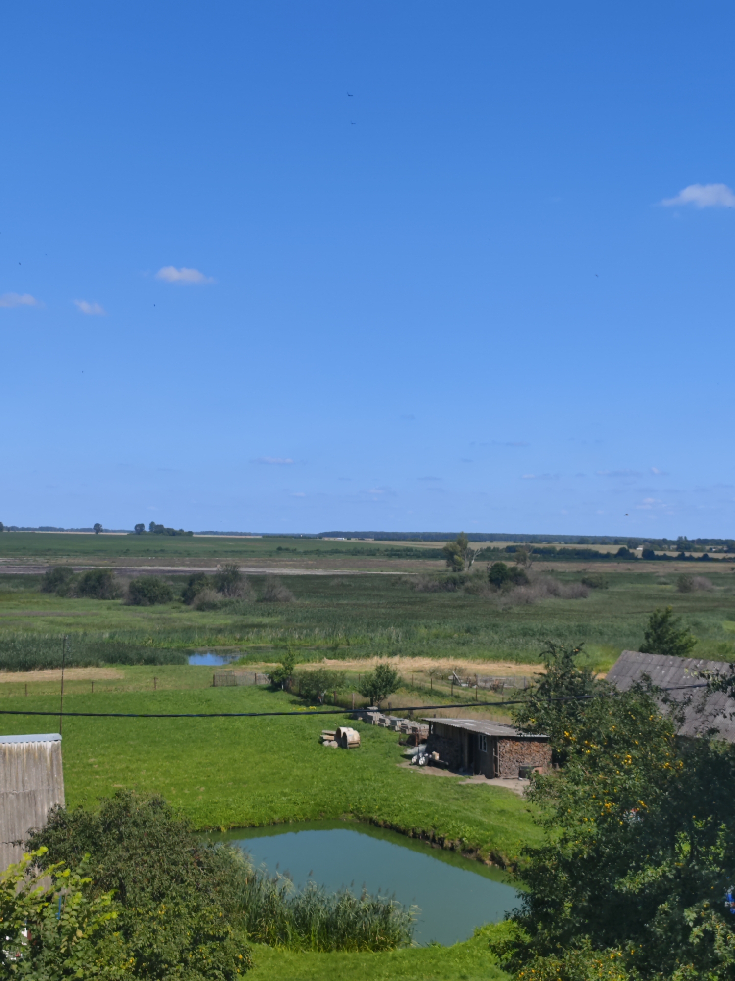 The image depicts a rural landscape with a clear blue sky above. In the foreground, a pond with teal water is visible, bordered by lush green grass and reeds. To the left, a portion of a weathered, grey roofed structure is partially visible. Further into the midground, a small wooden building with a stacked wood exterior is situated next to a larger, dark-roofed building. Several beehives are lined up in front of the wooden structure. In the distance, a vast expanse of green fields stretches towards a treeline, beyond which the landscape appears to flatten out, suggesting a low-lying area. The overall scene conveys a peaceful, rural setting. The location is Kamyanyets, Belarus.