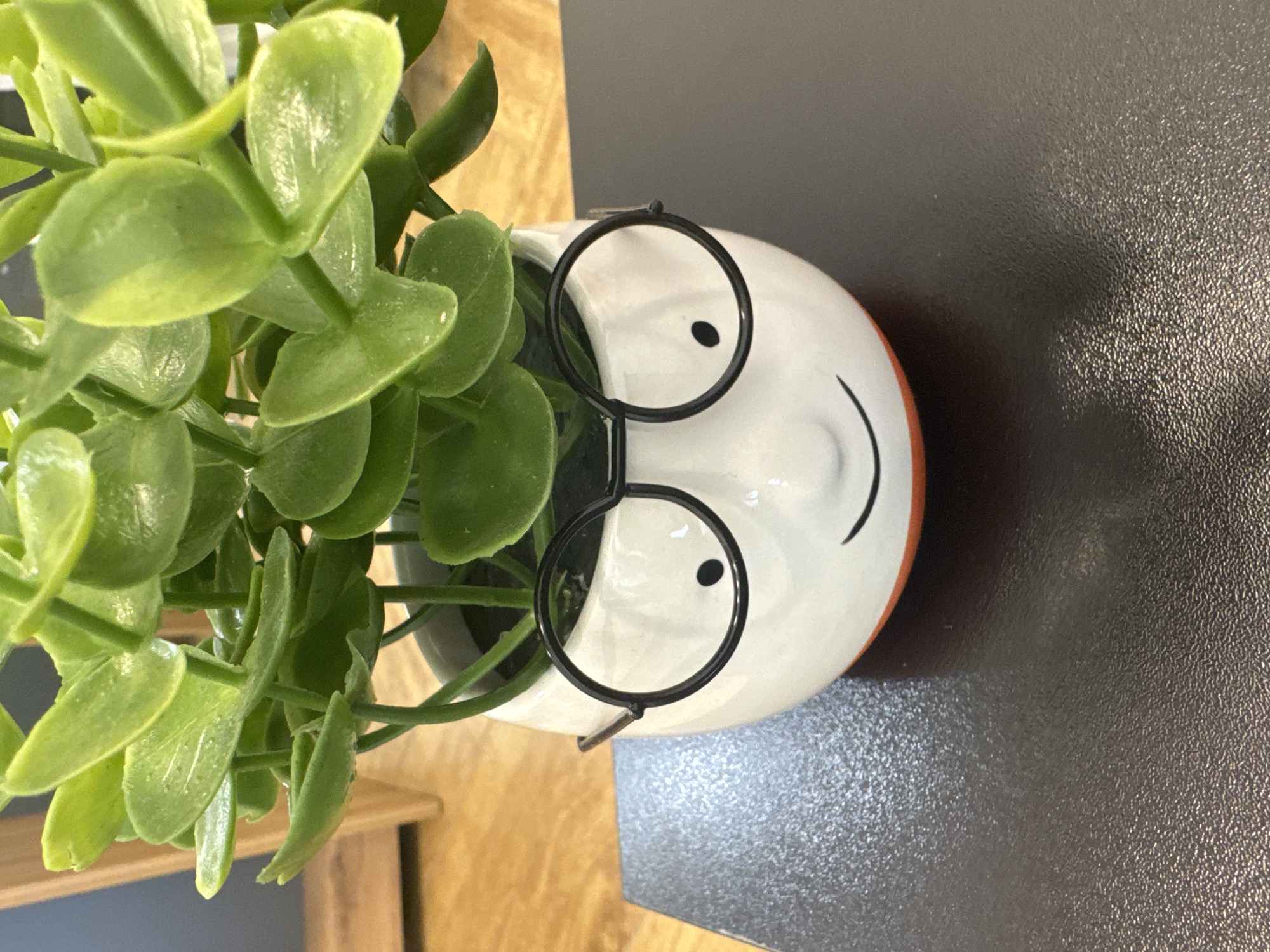 The image displays a cheerful potted plant featuring a decorative planter designed to resemble a face wearing glasses. The original image is rotated 90 degrees clockwise; when viewed correctly, the planter stands upright.
The main subject is a vibrant green houseplant, possibly a succulent, with numerous thick, glossy leaves filling the top left portion of the frame. The plant is contained within a white ceramic planter shaped like a head or face. This planter features two small black painted dots as eyes and a simple curved black line representing a smile. A pair of black, wire-rimmed glasses is perched on the planter, framing the painted eyes, adding to its whimsical character. The top rim of the planter (below the face) has a subtle orange band.
The planter sits on a dark, textured surface, likely a desk or table, which occupies the right side and foreground of the image. A lighter wooden surface is visible in the background on the left, suggesting an indoor setting such as a home or office. There is no activity taking place, and the scene is a still life. The lighting is bright and even, highlighting the plant's healthy green leaves and the details of the smiling planter. No text is visible in the image.