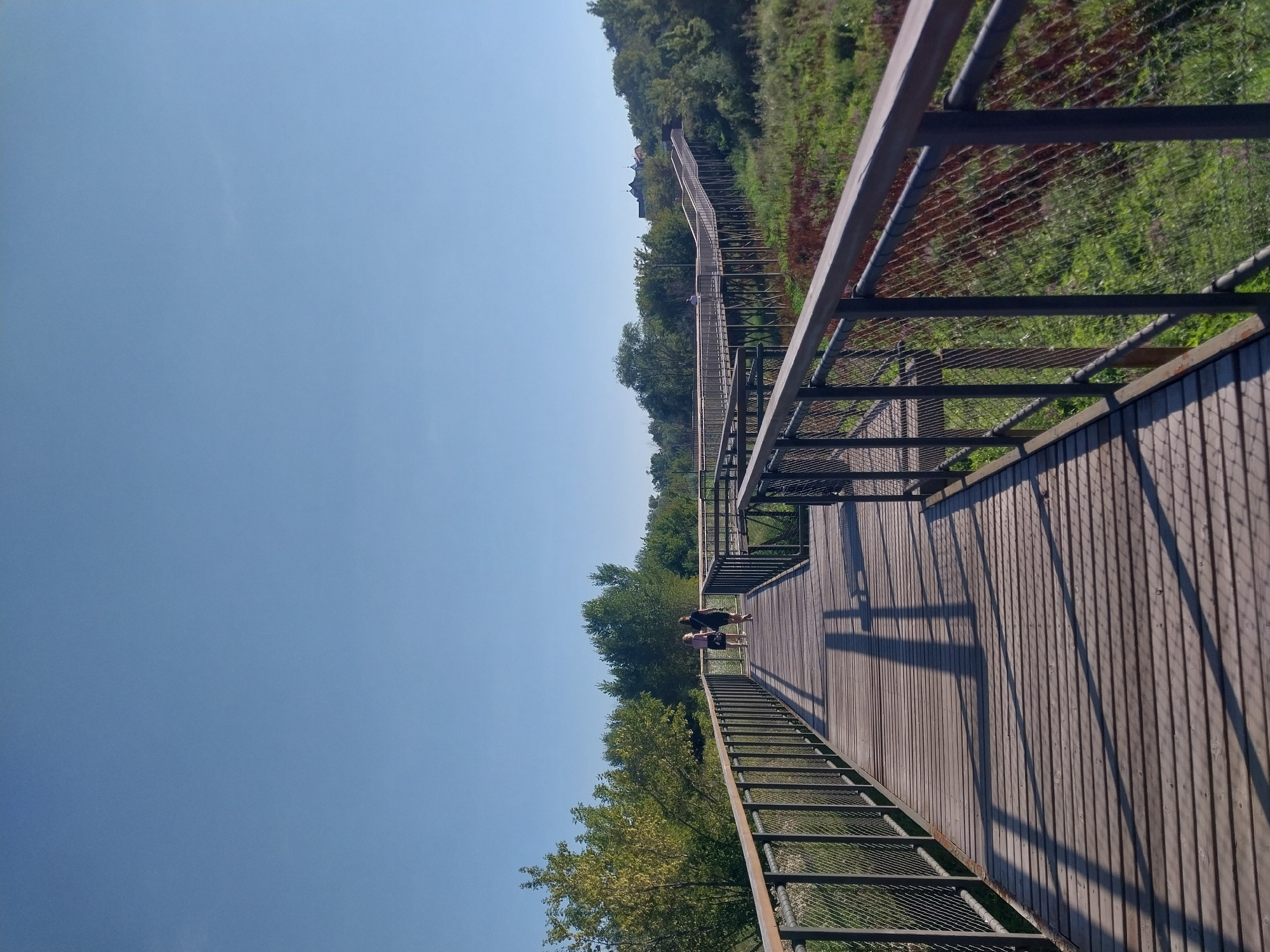 The image captures a wooden boardwalk curving through a natural landscape under a clear blue sky. Two individuals are walking away from the camera on the boardwalk in the foreground. The boardwalk is elevated and features metal railings with a wire mesh infill. Lush green vegetation and trees surround the boardwalk, with a building visible in the distance on a hilltop. The scene appears to be a park or nature reserve. This boardwalk is likely located in the "Sotka" ecopark in Orenburg, Russia, known for its elevated wooden pathways that traverse marshland and offer scenic views of the natural environment.
