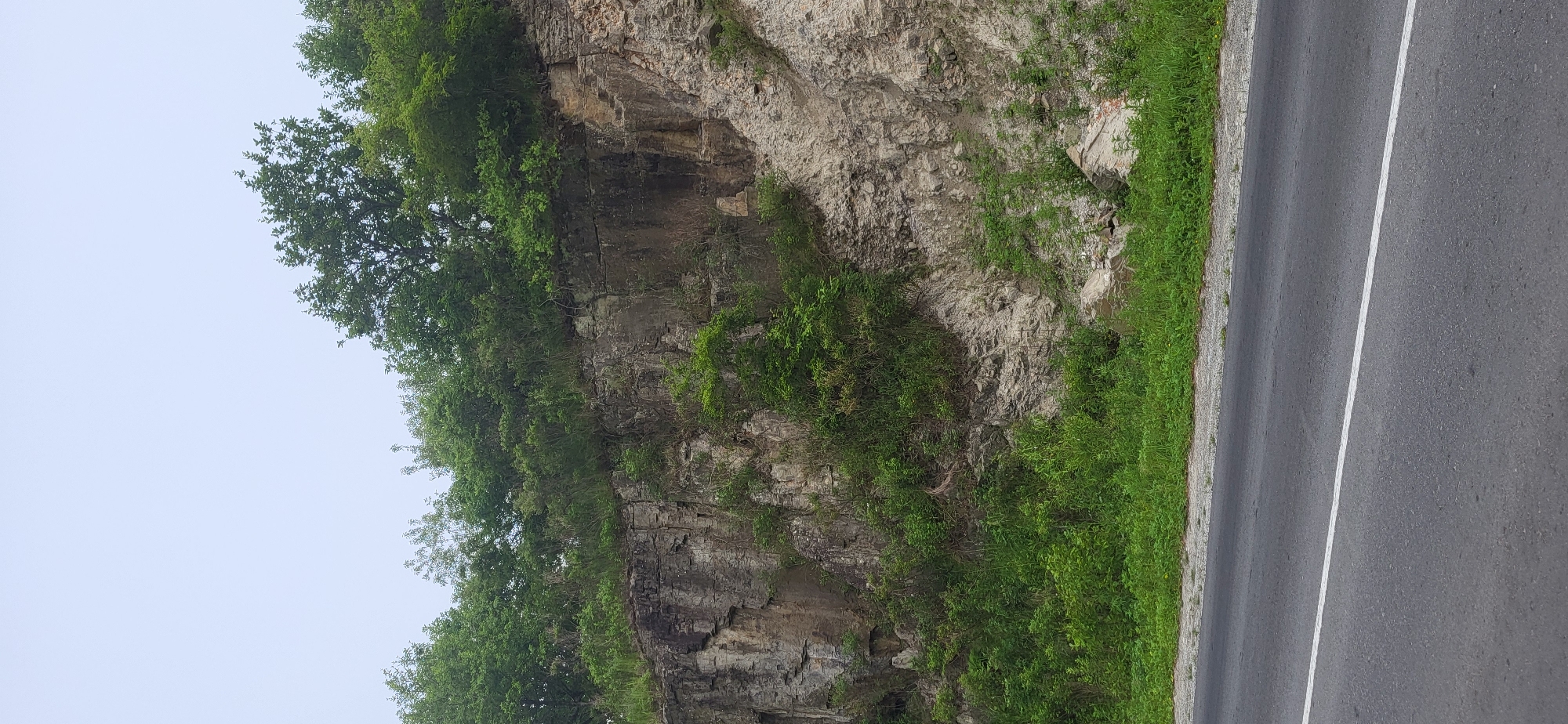 A roadside view in Slavyanka, Russia, features a steep, rocky embankment topped with dense green trees. The embankment is composed of layered stone with visible fractures and patches of vegetation growing amongst the rocks. A paved road with a white dividing line runs horizontally across the bottom of the frame, suggesting the location is adjacent to a thoroughfare. The sky above is overcast and light gray.