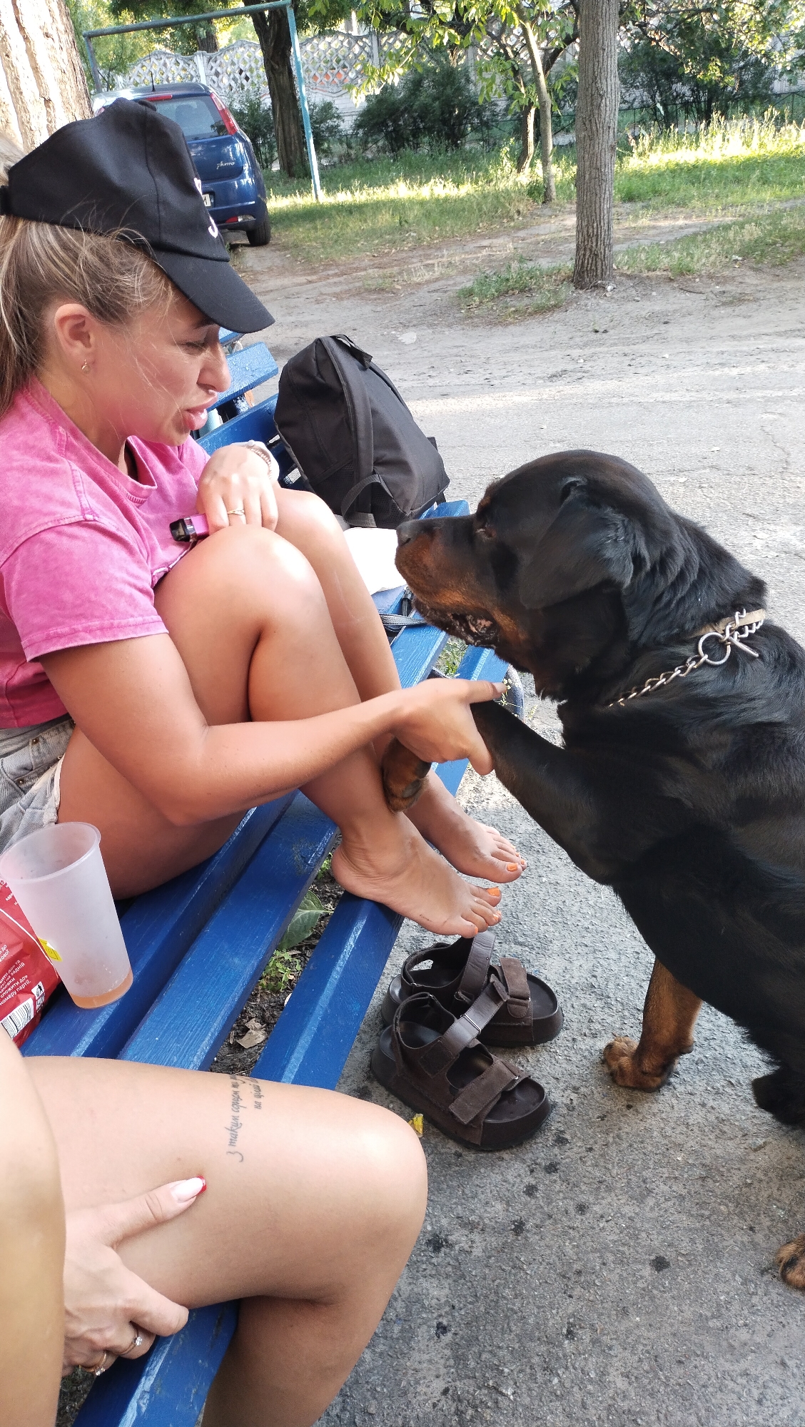 A woman wearing a pink t-shirt and a black baseball cap sits on a blue park bench, holding a dog's paw. The dog, a Rottweiler, stands on the ground facing the woman. The scene is outdoors, with trees and a fence in the background. A blue car is parked behind the fence. The woman has blonde hair and is wearing a ring on her left hand. The dog is wearing a chain collar. A black backpack is placed on the bench behind the woman. There are also a pair of brown sandals on the ground next to the bench. The ground is paved with concrete and gravel. The image was taken in Horishni Plavni, Ukraine.