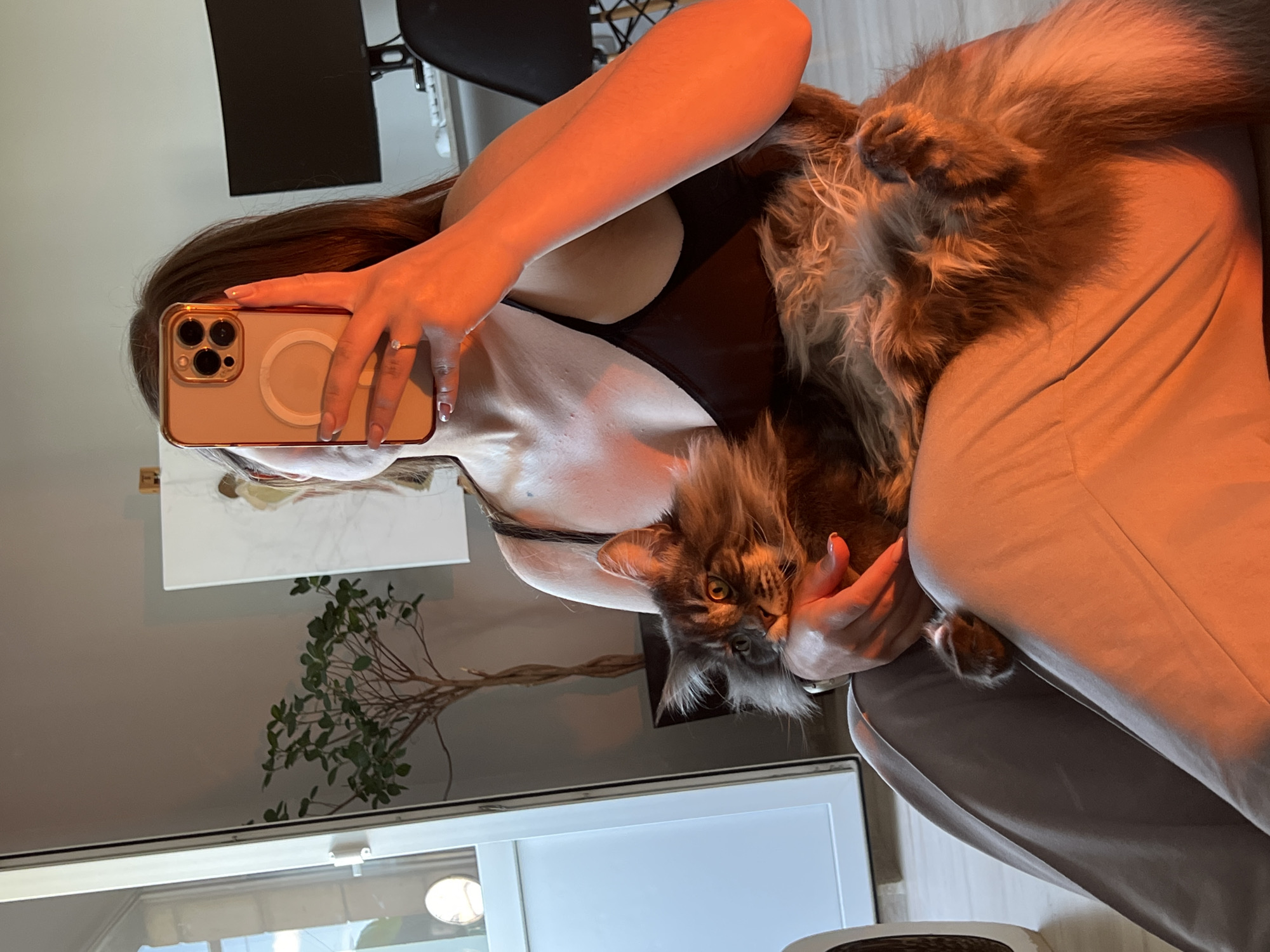In this media file, a person is taking a selfie with their pet cat. The person, whose face is partially obscured by a phone, is wearing a black top. The cat, a large Maine Coon with grey and brown fur, is being held by the person and looks directly at the camera with its large amber eyes. The setting appears to be indoors, likely a home, with soft lighting casting an orange glow on the scene, suggesting it could be evening or a room with warm artificial lighting. In the background, a plant can be seen, and a large reflective surface, possibly a mirror or window, shows a reflection of another plant and what appears to be a piece of artwork. The overall mood is relaxed and intimate, capturing a moment between a pet owner and their companion. There is no visible text in the image. The location is identified as Ternopil, Ukraine.