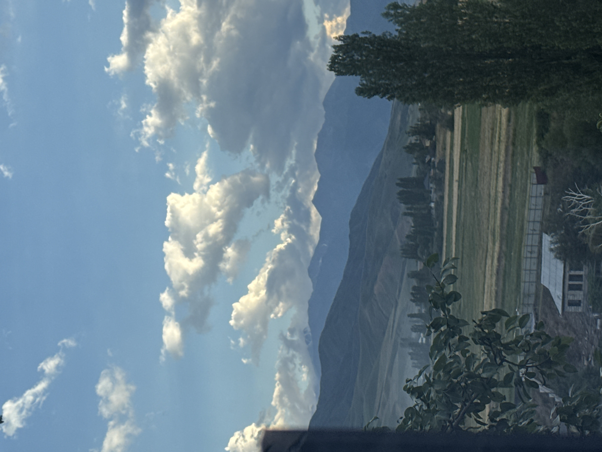 The image depicts a landscape scene in Arashan, Kyrgyzstan, oriented vertically. The upper portion is dominated by a bright blue sky filled with fluffy white and grey clouds, some of which are illuminated by sunlight. In the mid-ground, a range of imposing mountains stretches across the frame, with their slopes creating a layered effect. The mountains appear to be covered in sparse vegetation, and their colors range from muted green to deep blue, suggesting distance and atmospheric perspective.
In the lower half of the image, a rural setting unfolds. A field with distinct rows of crops, likely agricultural land, occupies a significant portion of the right side. Several trees, both tall and leafy, are scattered across this area, with one large, dark green tree prominently featured in the upper right corner, framing the scene. Various buildings, possibly houses or agricultural structures, are visible amongst the trees and fields, some with visible rooftops and windows. The foreground shows the dark silhouette of foliage from a tree or bush, with visible leaves and branches.
The lighting suggests it is daytime, likely late afternoon or early evening, given the quality of light and the shadows. The weather appears fair with a mix of sunshine and clouds. The overall impression is one of natural beauty and rural tranquility. No people or text are visible in the image.