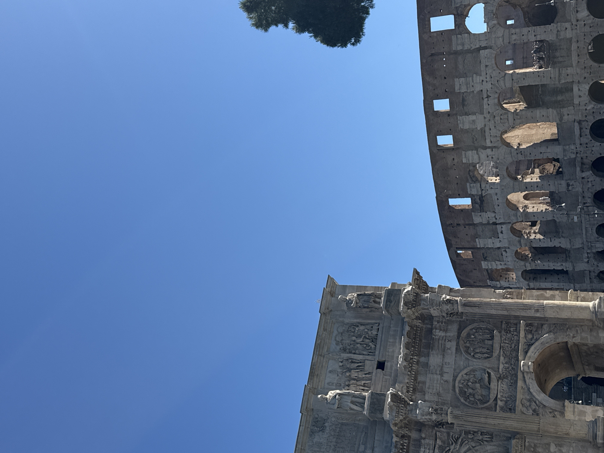 The image, taken in Rome, Italy, shows the Colosseum and the Arch of Constantine against a clear blue sky with a tree peeking out from the top of the image. The Colosseum shows its damaged state with multiple arches and windows. The Arch of Constantine is intricately decorated with carvings and statues. No people are visible in the photo.