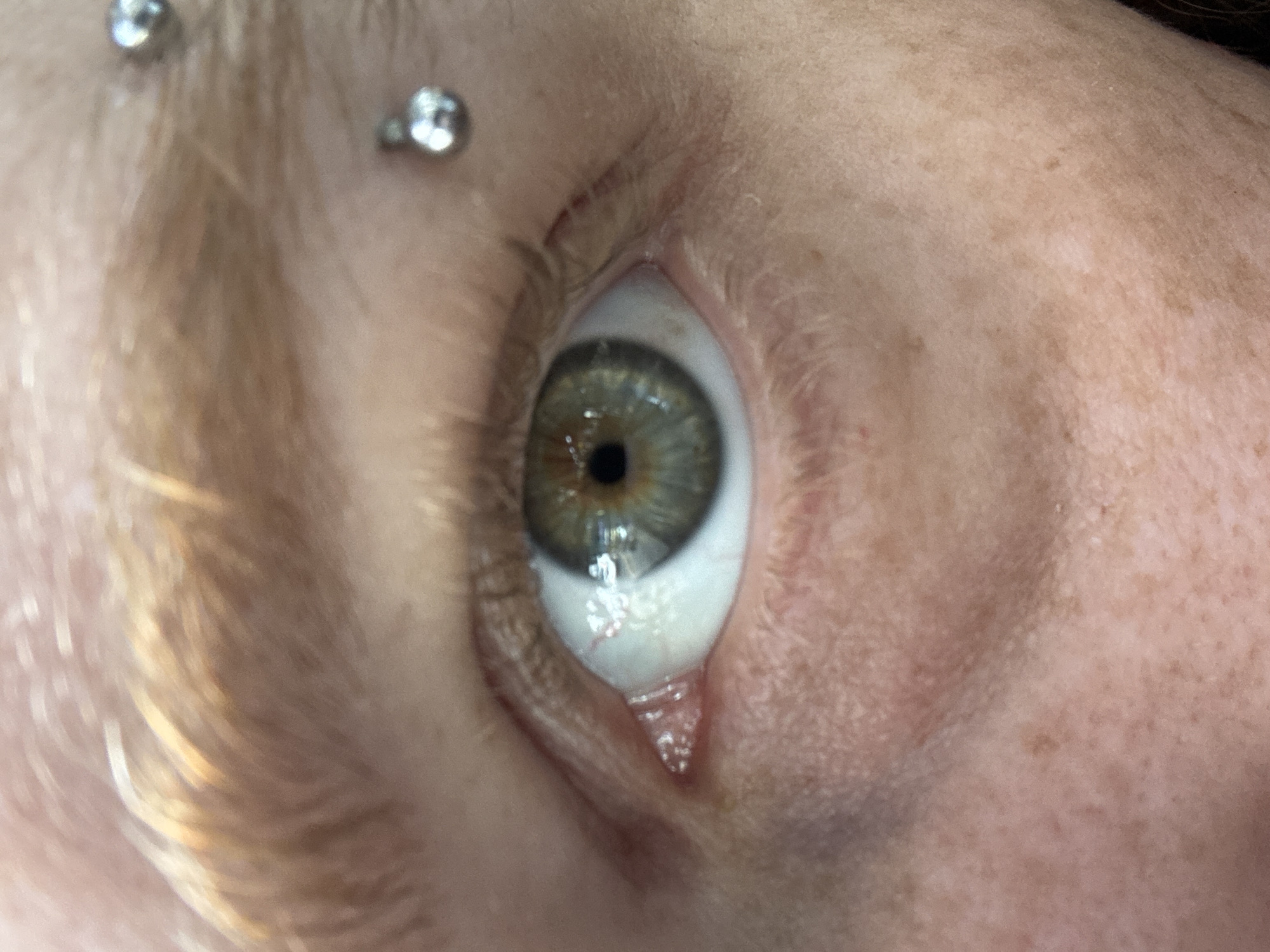 A highly cropped, close-up photograph captures a person's left eye and surrounding facial features, set in Buenos Aires, Argentina. The central focus is the eye, revealing a hazel or green-colored iris with distinct variations in tone and a sharply defined, dilated black pupil. The white sclera is visible, particularly at the bottom, where subtle red veins can be observed. A small amount of fluid, possibly a tear or moisture, gathers in the lower inner corner of the eye.
Above the eye, two prominent metallic eyebrow piercings are visible. These piercings consist of silver-toned, spherical barbells, inserted through the skin of the eyebrow. The skin around the eye and on the forehead displays a fair to medium complexion with natural texture and a scattering of freckles or small pigmentation spots. Streaks of light-colored hair, possibly blonde or light brown, are visible along the upper left edge of the frame. The lighting suggests an indoor setting, though no specific environmental details are discernible. The subject appears to be looking straight ahead or slightly upwards, maintaining a neutral expression for the close-up. No text is visible in the image.