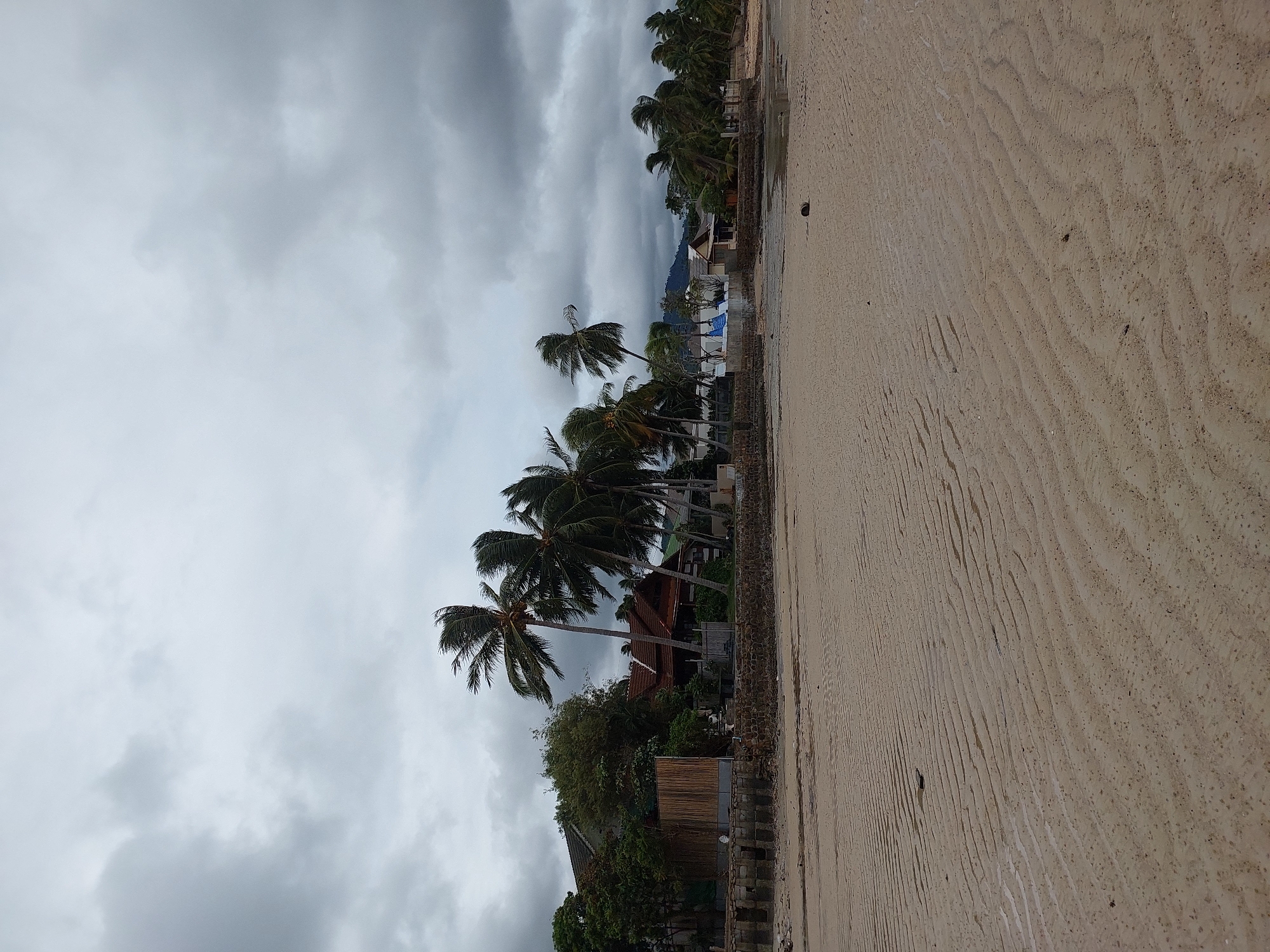 A low-angle shot captures a beach in Ko Samui District, Thailand, under a heavily clouded sky. The foreground consists of wet sand with distinct ripple patterns, suggesting the tide has recently receded. In the midground, a stone retaining wall separates the sand from a line of buildings and palm trees. The buildings appear to be houses or small resorts, with some featuring tiled roofs. Several tall palm trees with fronds blowing in the wind are prominent. The background shows more vegetation and distant hills. The overall mood is somber due to the overcast weather.
