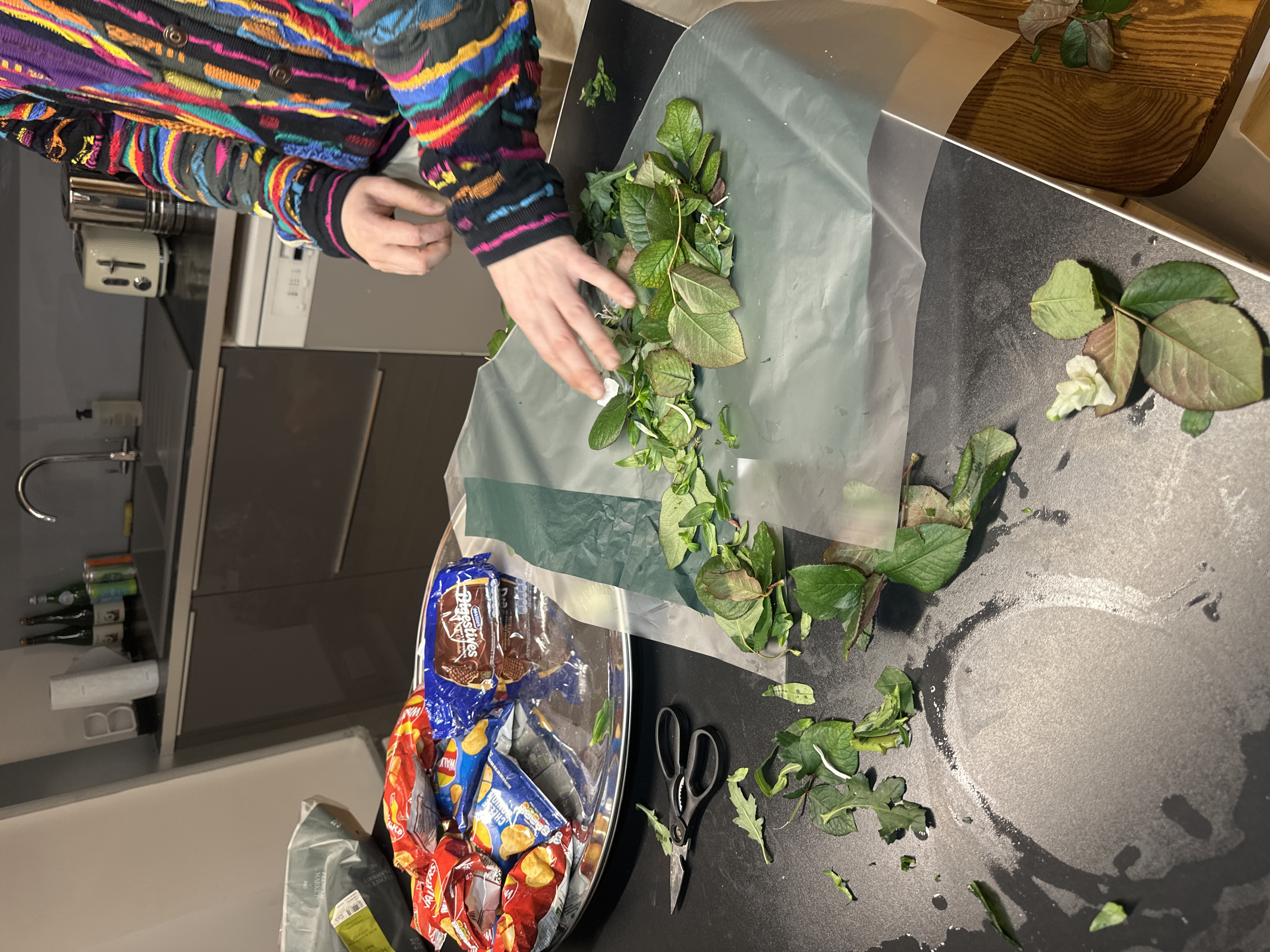 This image depicts a modern kitchen within a residential property in London, United Kingdom.
One individual, partially visible from the chest down, wearing a brightly colored, multi-textured, patterned sweater with horizontal stripes, is actively engaged in handling plant material. The individual's hands are observed arranging and sorting green leaves of various types on a translucent, light green plastic sheet laid over a dark grey countertop. Scissors lie nearby, suggesting a cutting activity.
On the dark grey countertop, scattered green leaves of various shapes and sizes are present, some appearing freshly cut, along with water droplets or spills. To the left, a silver oval serving platter holds multiple open and unopened bags of "Walkers" crisps, including "Cheese & Onion" flavor, and a blue packet of "McVitie's Digestives" biscuits. A pair of black-handled scissors rests near the center-left of the frame. A white "M&S Flower Market" bag is partially visible in the upper left, providing context for the greenery.
The background features dark grey kitchen cabinets and a matching backsplash. A stainless steel sink with a curved chrome tap is visible, alongside a light-colored soap dispenser. On a shelf above the counter to the right, a white two-slice toaster and a silver electric kettle are present. Bottles of beverages, including green glass bottles (resembling San Pellegrino) and aluminum cans, are lined up on the counter against the backsplash. A white 'B' shaped ornament is visible on a shelf above the sink area. A white integrated dishwasher is partially visible below the counter on the right. A wooden decorative item is partially visible on the far right. The scene is illuminated by artificial indoor lighting.