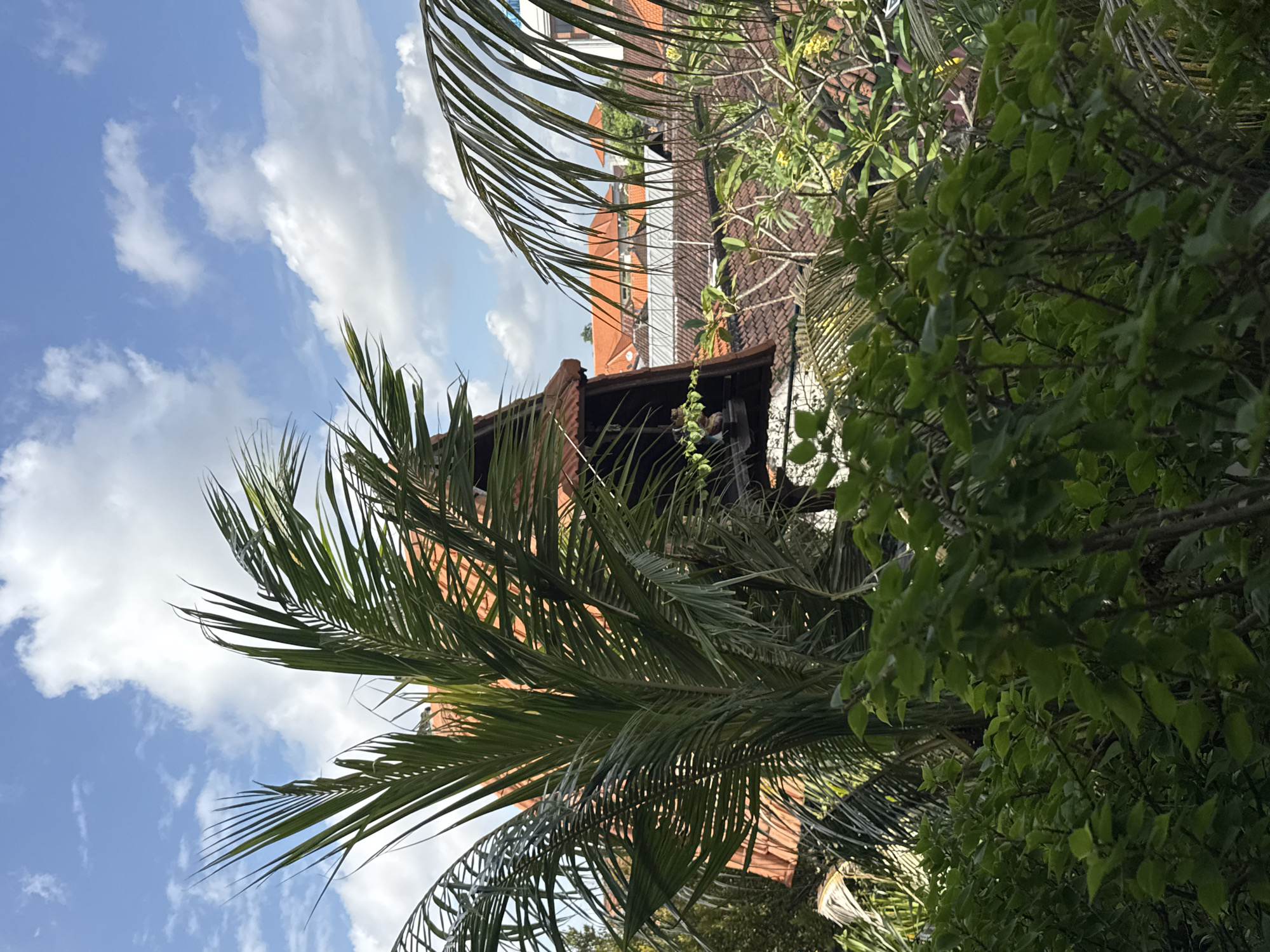 The image depicts a view of rooftops and tropical foliage against a partially cloudy blue sky. In the foreground, dense green leaves obscure the lower portion of the scene, with palm fronds arching from the left and right sides. Beyond the vegetation, several buildings with terracotta tile roofs are visible, suggesting a residential or resort area. The architecture appears to be consistent with tropical styles. The overall impression is of a bright, sunny day in a lush, possibly coastal, urban environment. The scene is located in North Kuta, Indonesia. There are no people or discernable actions occurring in the image.