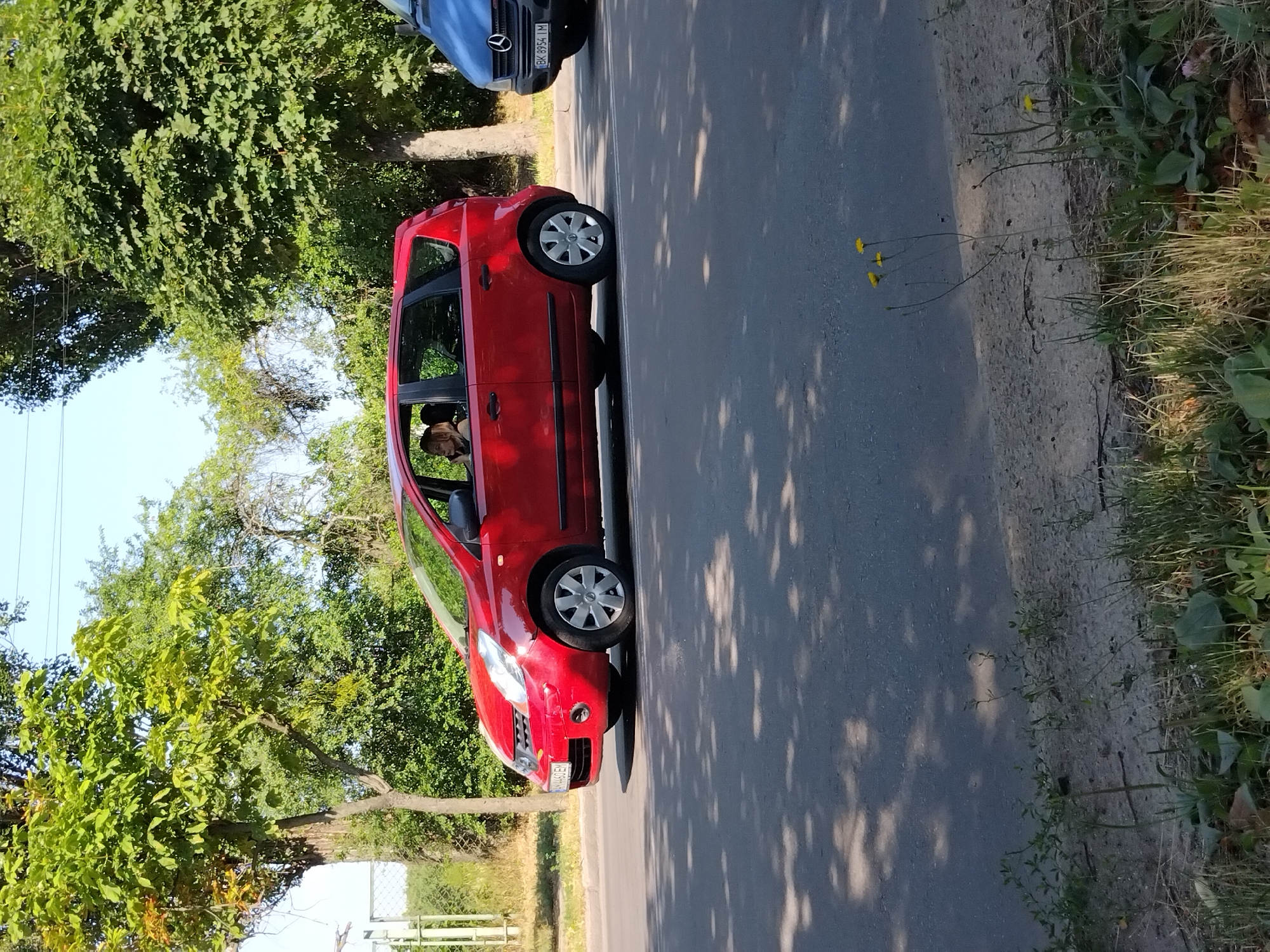 A red Nissan Note is driving on a paved road in Zhytomyr, Ukraine. The car is in the left lane. A woman with blonde hair is visible in the driver's seat, looking to the left. The car has a Ukrainian license plate that reads "BK 4460 EM". To the right of the red car is a blue van, also with a Ukrainian license plate. The road is bordered by trees on the left and right, and there is a sidewalk or shoulder with grass and some small yellow flowers on the right side of the road. The sky is clear and blue. The sun is casting dappled shadows from the trees onto the road.