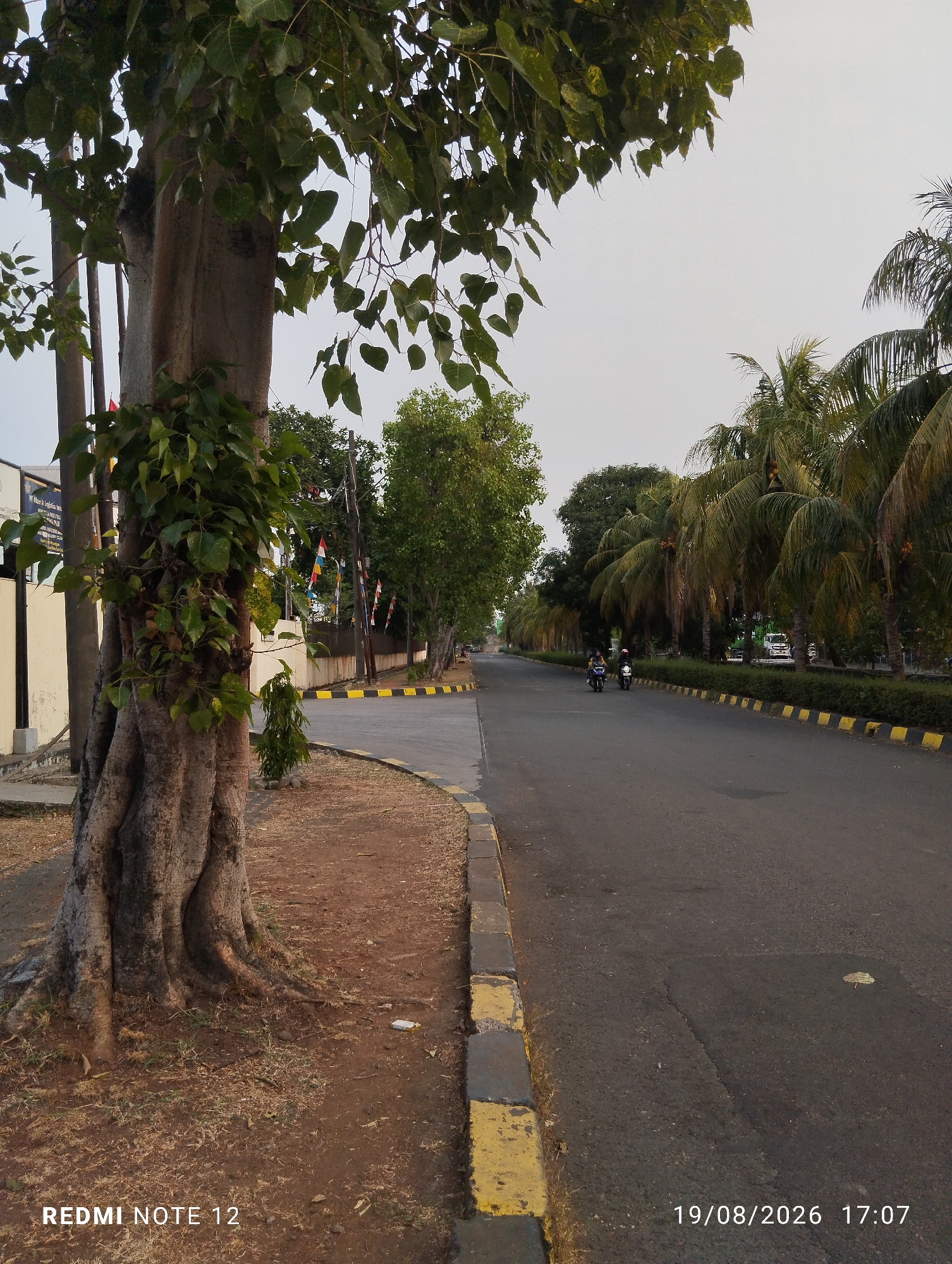 The image shows a paved road in North Jakarta, Indonesia, lined with trees and palm trees. On the left side of the road, there is a large tree with thick roots and a sidewalk. A few motorcycles are seen driving on the road in the distance. The sky is overcast, and the lighting suggests it is either early morning or late afternoon. The timestamp on the image indicates it was taken on August 19, 2026, at 17:07. The overall scene depicts a typical urban streetscape with natural elements integrated into the city.