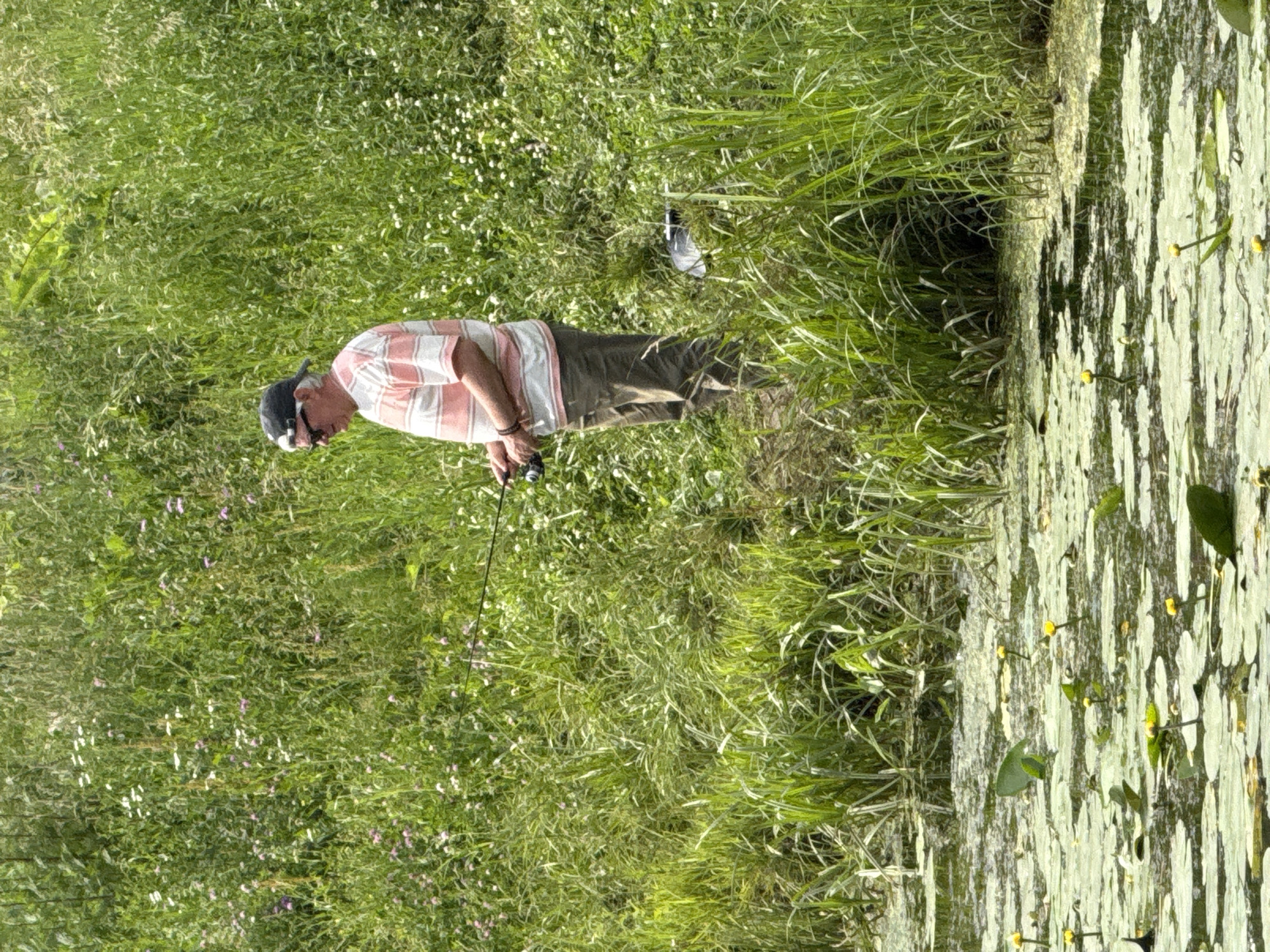 A person is fishing in a body of water covered with lily pads. The person is standing on the bank, surrounded by tall green grass and some small white and purple wildflowers. They are wearing a light-colored, striped shirt and dark pants, and a dark baseball cap. The person is holding a fishing rod, casting or reeling in. The water is calm and reflects the greenery. The scene appears to be set during the daytime, with bright natural light. The weather seems pleasant and warm. The location is implied to be Moscow, Russia. There is no visible text in the image.