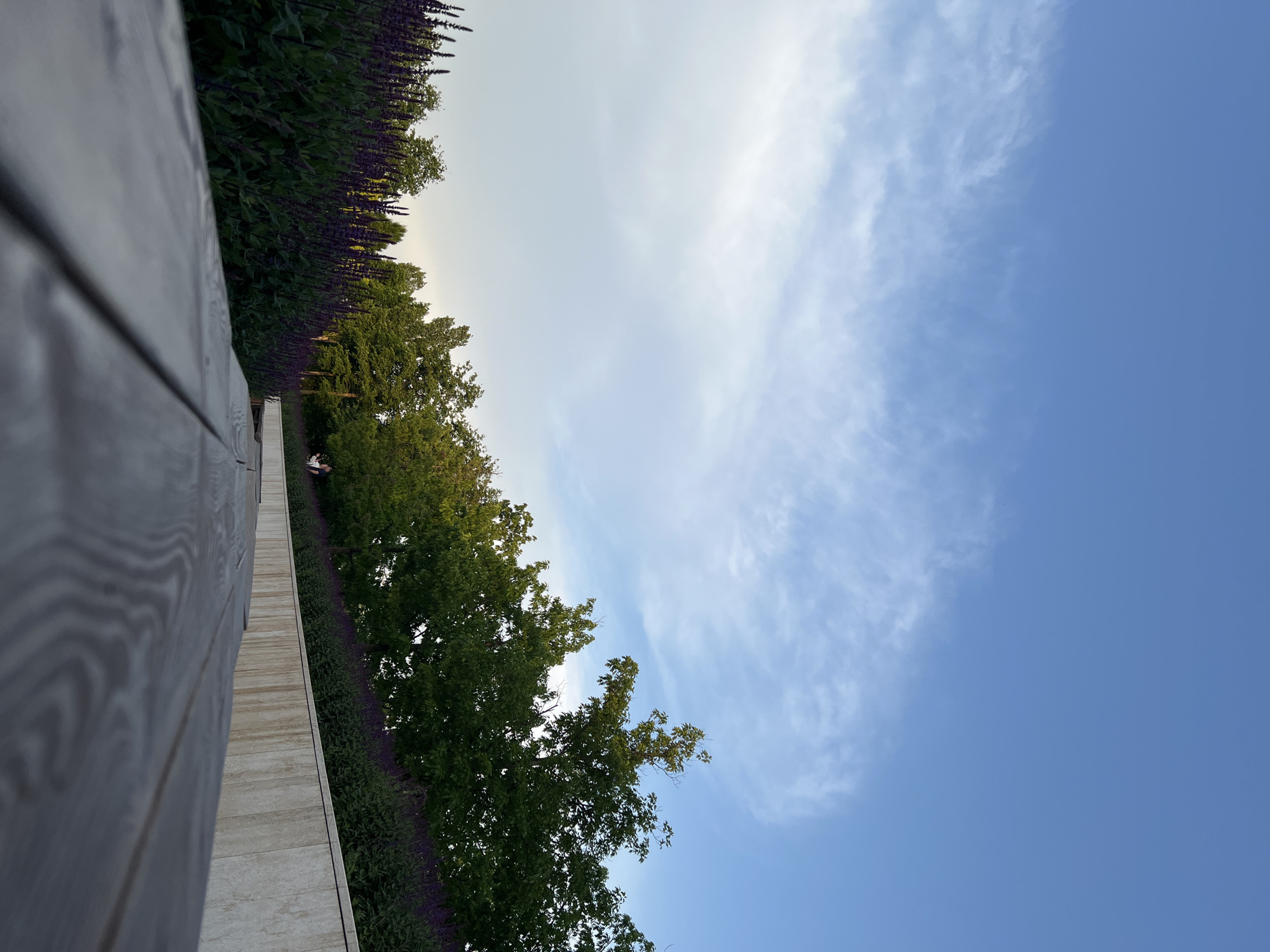 The image presents an upward, angled view of a partially visible wooden structure to the left, likely a building or deck. Adjacent to the structure, a line of vibrant purple flowers are visible. Beyond the flowers, a row of green trees extends toward the sky. The sky transitions from a hazy white near the horizon to a clear blue with scattered clouds toward the upper-right. Two figures are discernible, seemingly standing near the wooden structure and trees. The location is Krasnodar, Russia.