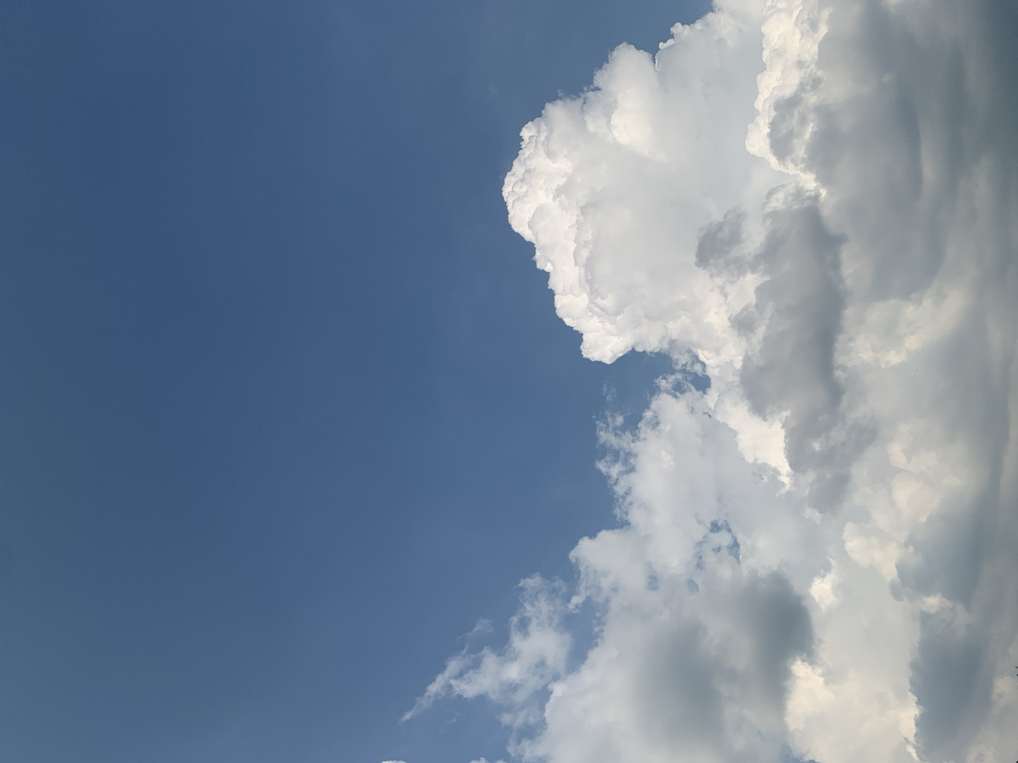 The image depicts a sky filled with large, puffy white clouds against a clear blue sky. The clouds are clustered towards the bottom half of the frame, with a particularly prominent, towering cloud on the right. The top half of the image is dominated by the expansive blue sky. There is no indication of the city of Kolomyia, Ukraine, nor any people, subjects, objects, or actions. The scene is solely of the sky and clouds.