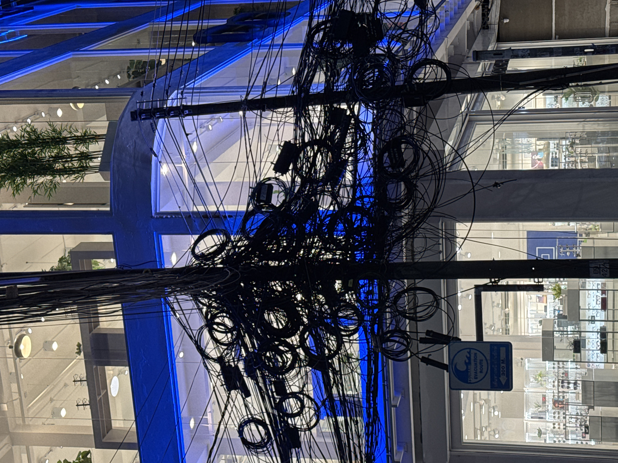 The image depicts a nighttime street scene in Patong, Thailand, dominated by a dense network of tangled black electrical wires obscuring the facade of a modern building. The building features large glass windows, with internal lighting creating a bright, white glow. Blue neon lighting outlines sections of the building's exterior, particularly on upper floors. Several potted plants, including bamboo, are visible inside through the windows.
In the foreground, a utilitarian wooden utility pole supports the intricate web of wires. The wires are coiled and strung haphazardly, creating a visually chaotic element. A blue sign with a white tsunami wave symbol and the text "TSUNAMI EVACUATION ROUTE" is mounted on a pole to the left of the utility pole. Below this, there is text in Thai script indicating a distance of "300 M." and an arrow pointing to the left.
The ground level of the building appears to be a retail establishment, possibly an optical shop, with display cases filled with what appear to be eyeglasses. The overall impression is one of urban infrastructure meeting commercial activity, with the overwhelming electrical wiring being a prominent feature of the streetscape. The lighting suggests it is dusk or night, with artificial lights illuminating the scene. There are no people clearly visible in the image.