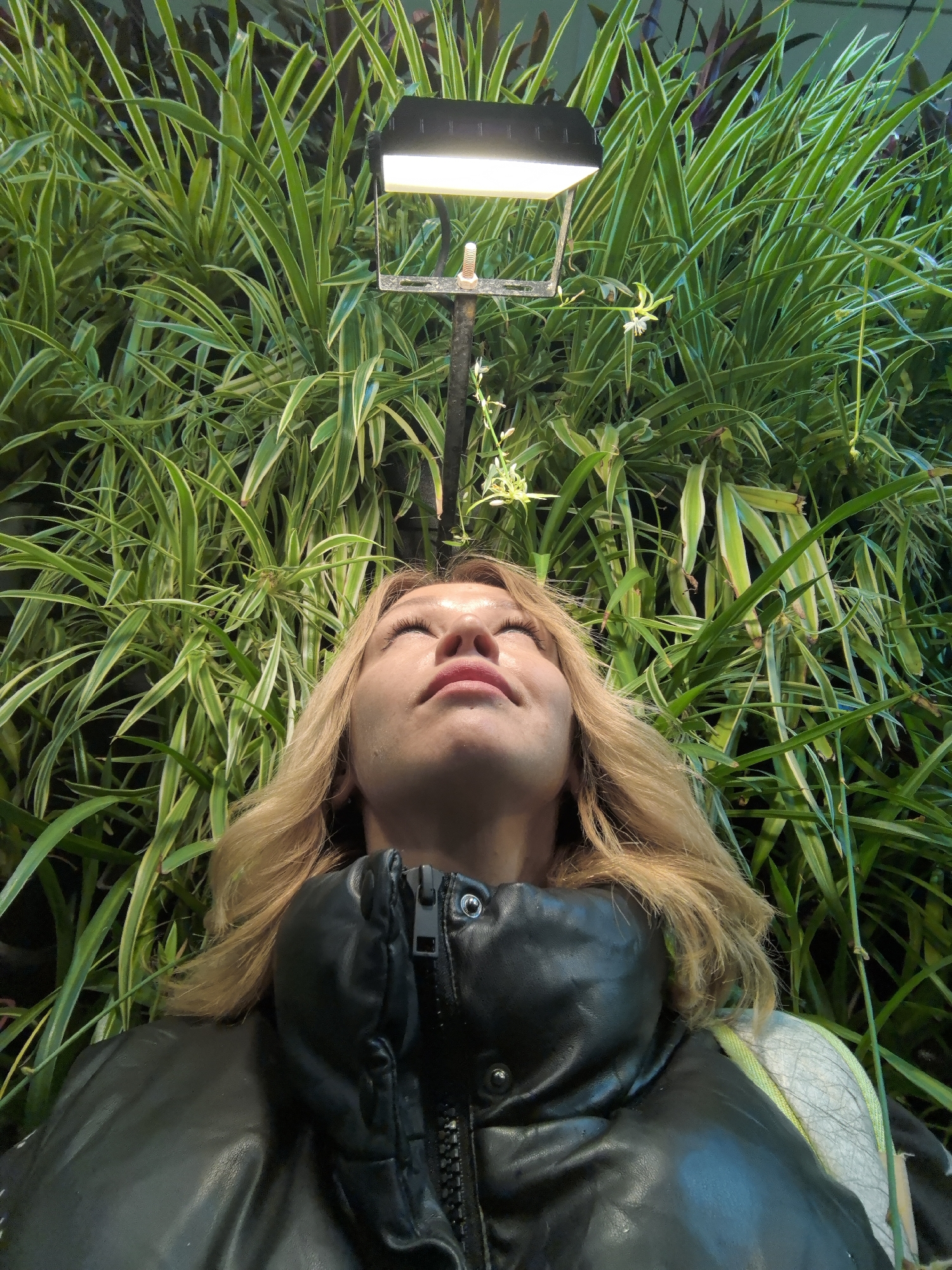 A woman is lying on her back, eyes closed, looking up at a light fixture surrounded by dense green foliage. The light fixture is rectangular and emits a bright, warm light. The foliage appears to be a variety of ornamental grasses. The woman is wearing a black leather jacket. The location is unknown.