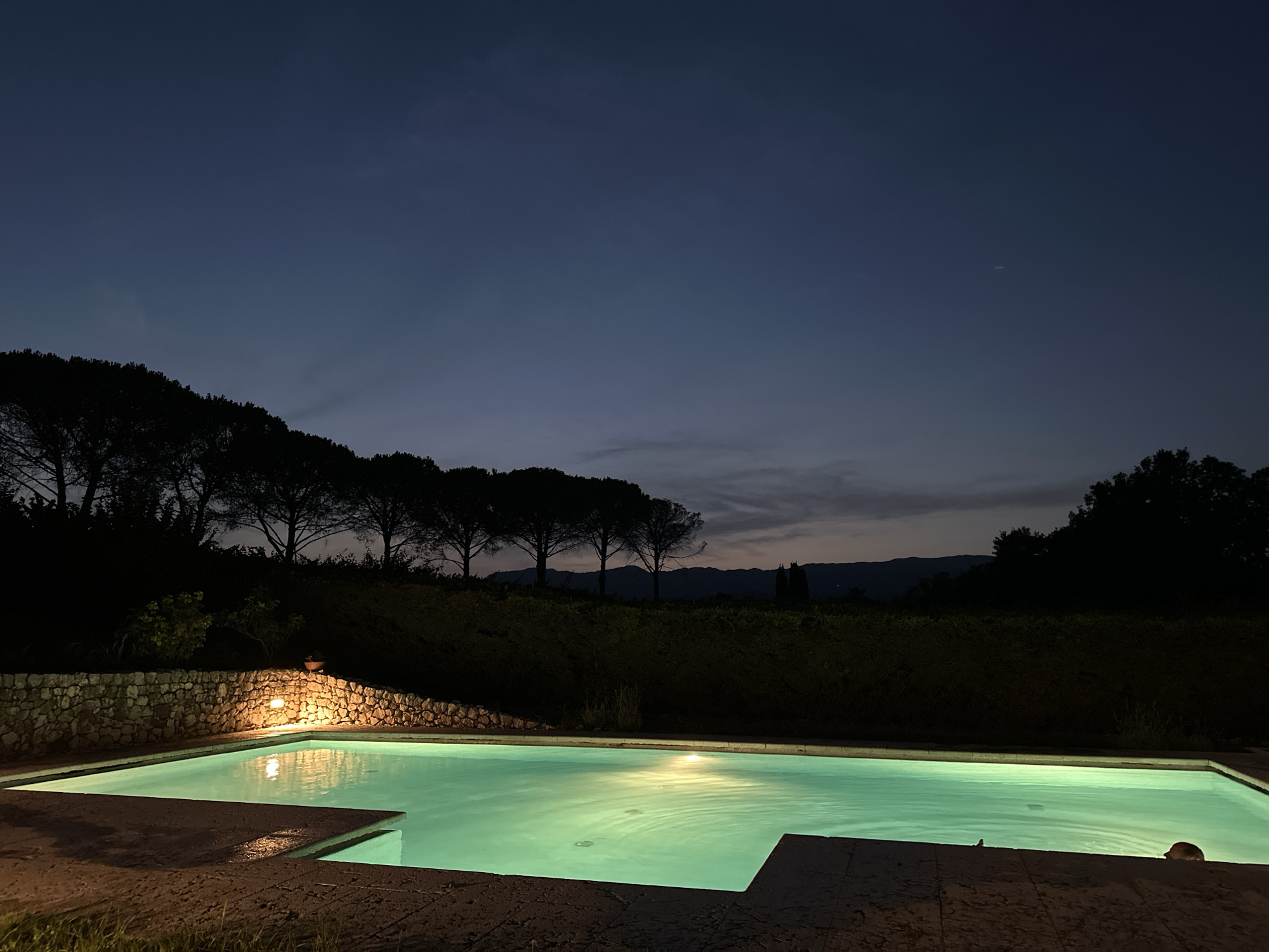 This image depicts a swimming pool at dusk, illuminated by underwater lights and a wall light. The pool has clear turquoise water with visible ripples. The surrounding area features a stone wall and the edge of the pool is made of stone tiles. Beyond the pool, there is a sloping landscape covered in vegetation and silhouetted trees against a dark blue sky. In the far distance, mountains are visible. No people are present in the image. This scene is not located in Conegliano, Italy.