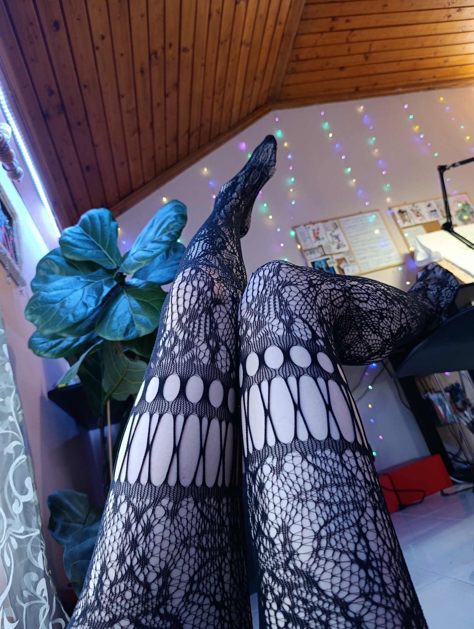 A low-angle, upward-looking indoor shot presents a pair of legs clad in patterned black fishnet stockings, oriented vertically with the feet pointing upwards. A potted fiddle-leaf fig plant with large, glossy green leaves is situated to the left of the legs. The background includes a wood-paneled ceiling, a wall adorned with multicolored string lights, and a whiteboard displaying various papers and images. A desk lamp is visible to the right of the legs. The location is not specified within the photograph and cannot be determined based on the visual information. There is no information to suggest this image was taken in Svilengrad, Bulgaria.