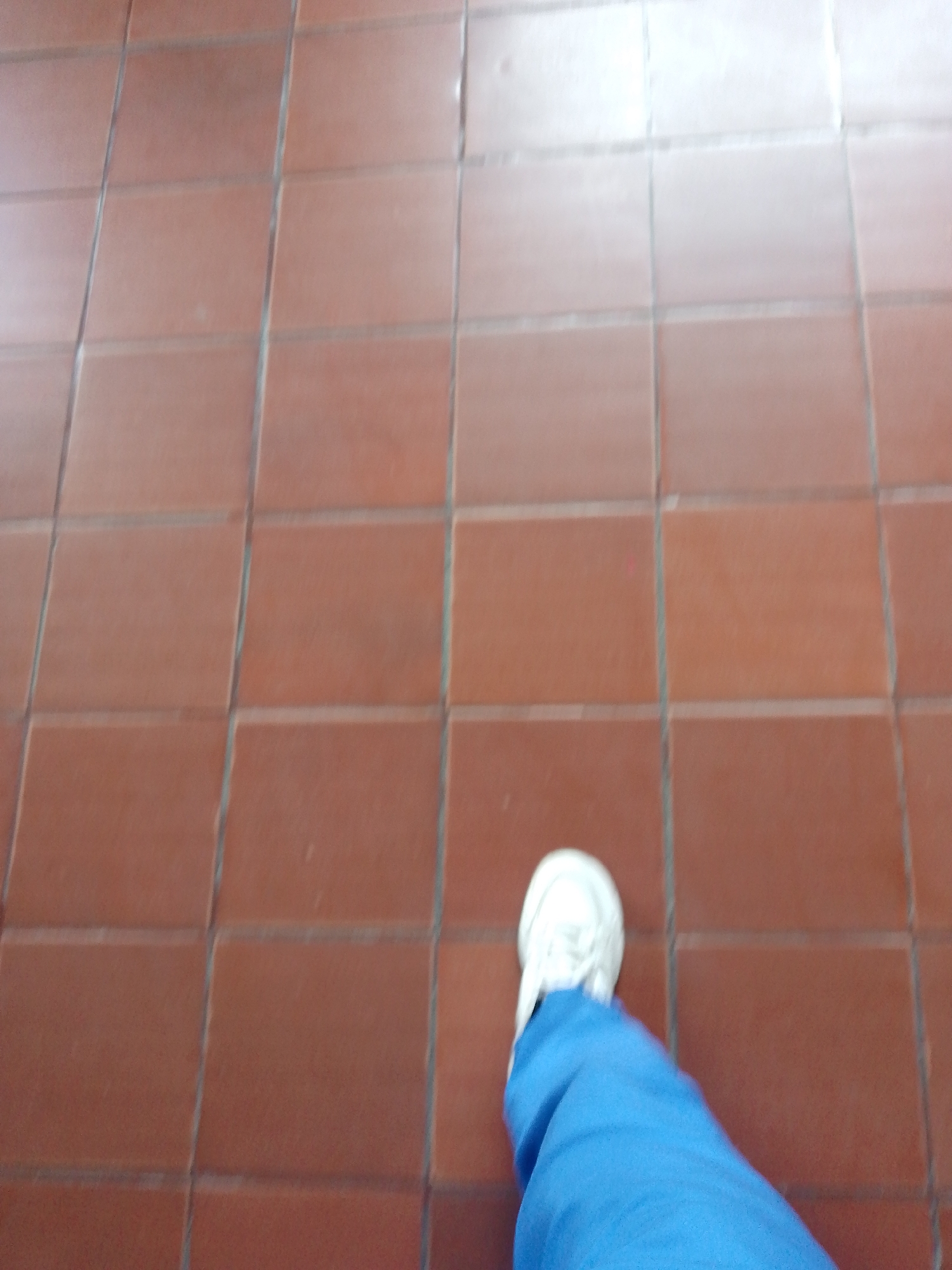 The image shows a first-person view of a person standing on a tiled floor. The tiles are reddish-brown. The person is wearing blue pants and a white shoe. The location is not identifiable as being in Santa Ana, Venezuela based on the image alone. There is no additional information about people, subjects, objects, actions, interactions, or the environment that can be discerned from the photograph.